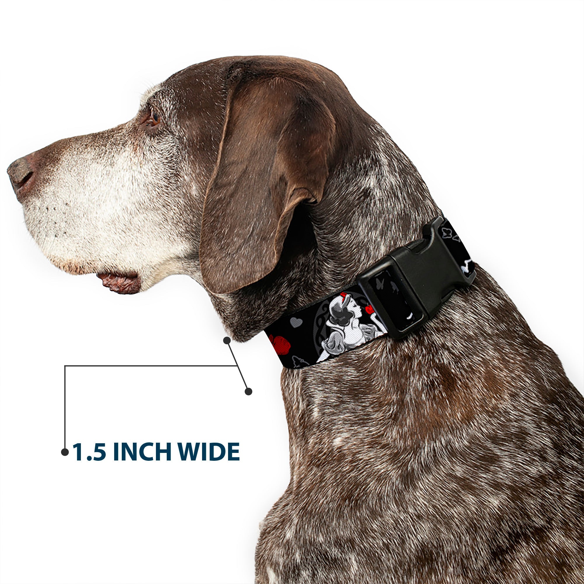 Plastic Clip Collar - SNOW WHITE Apple Poses/Butterflies Black/Gray/Red