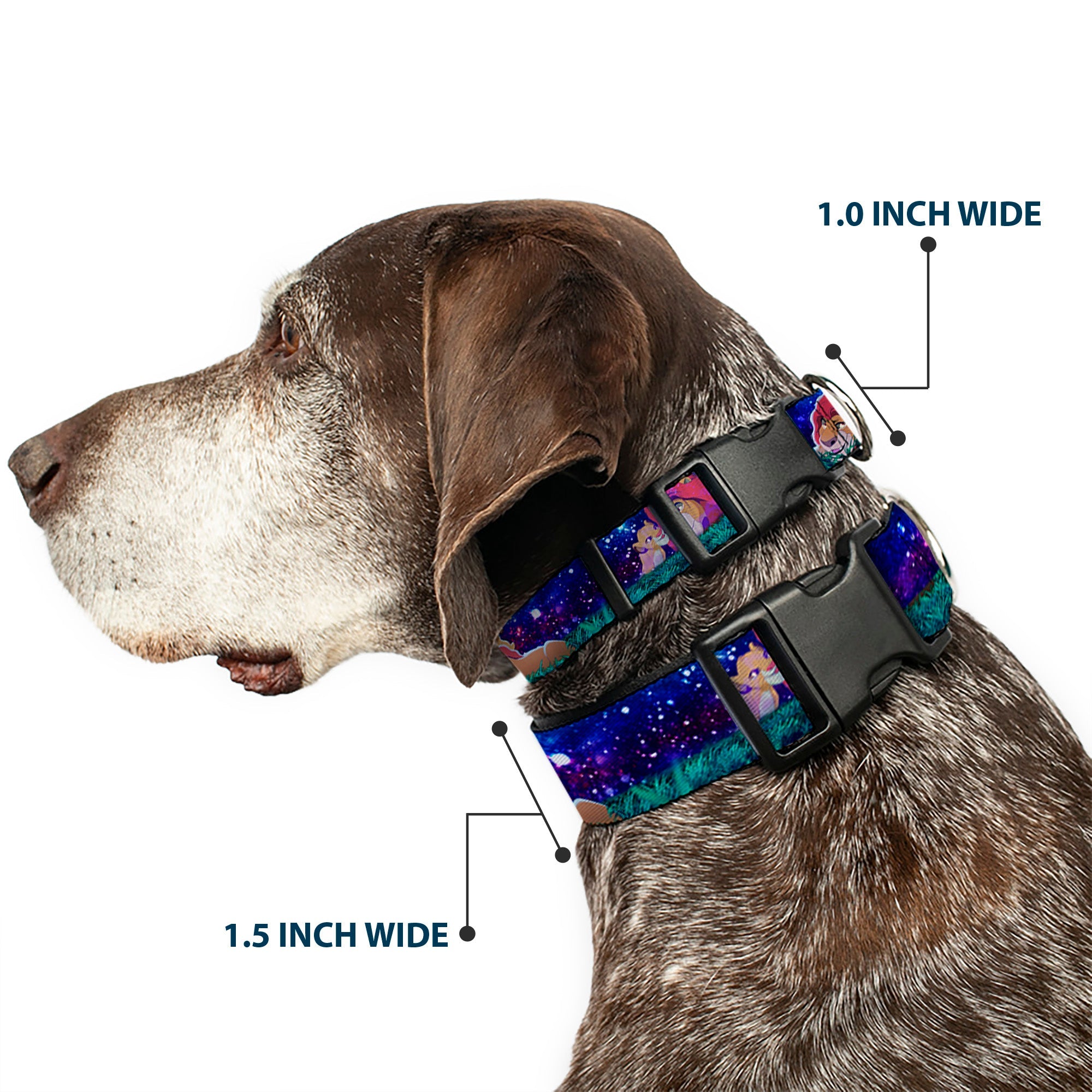 Plastic Clip Collar - Mufasa & Simba Night Poses