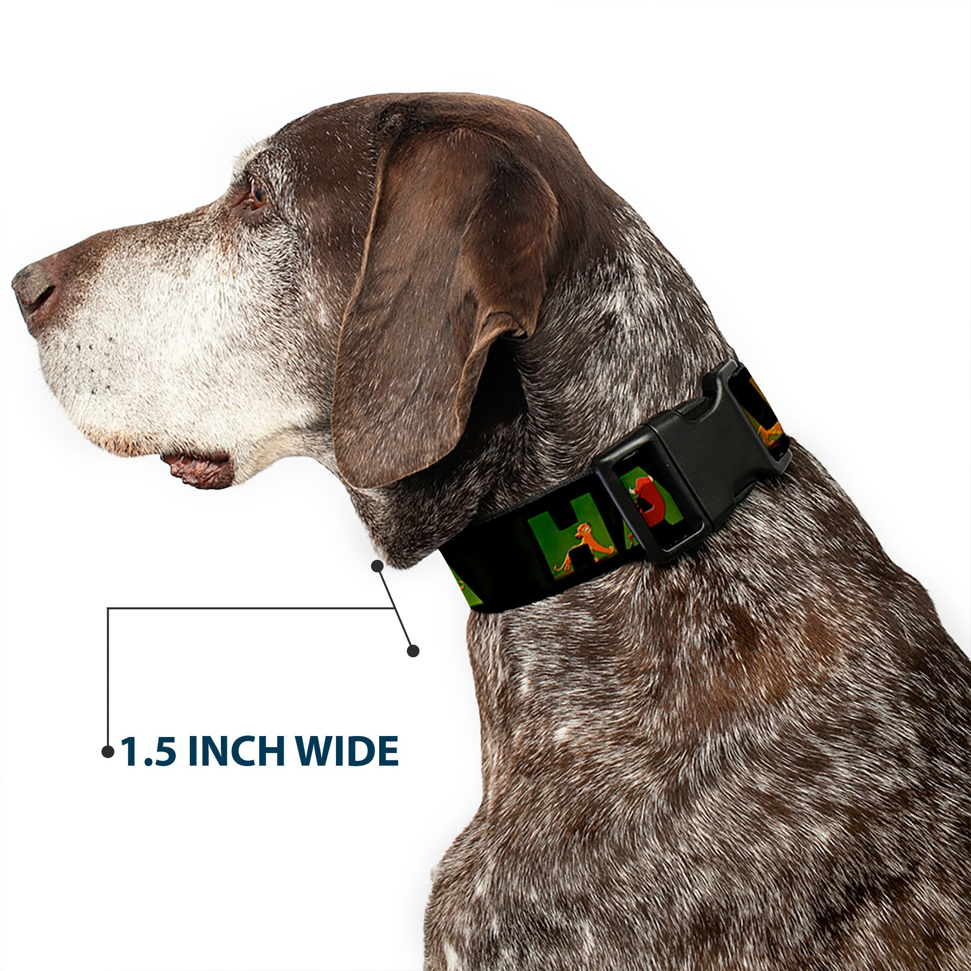 Plastic Clip Collar - HAKUNA MATATA Black/Lion King Scenes