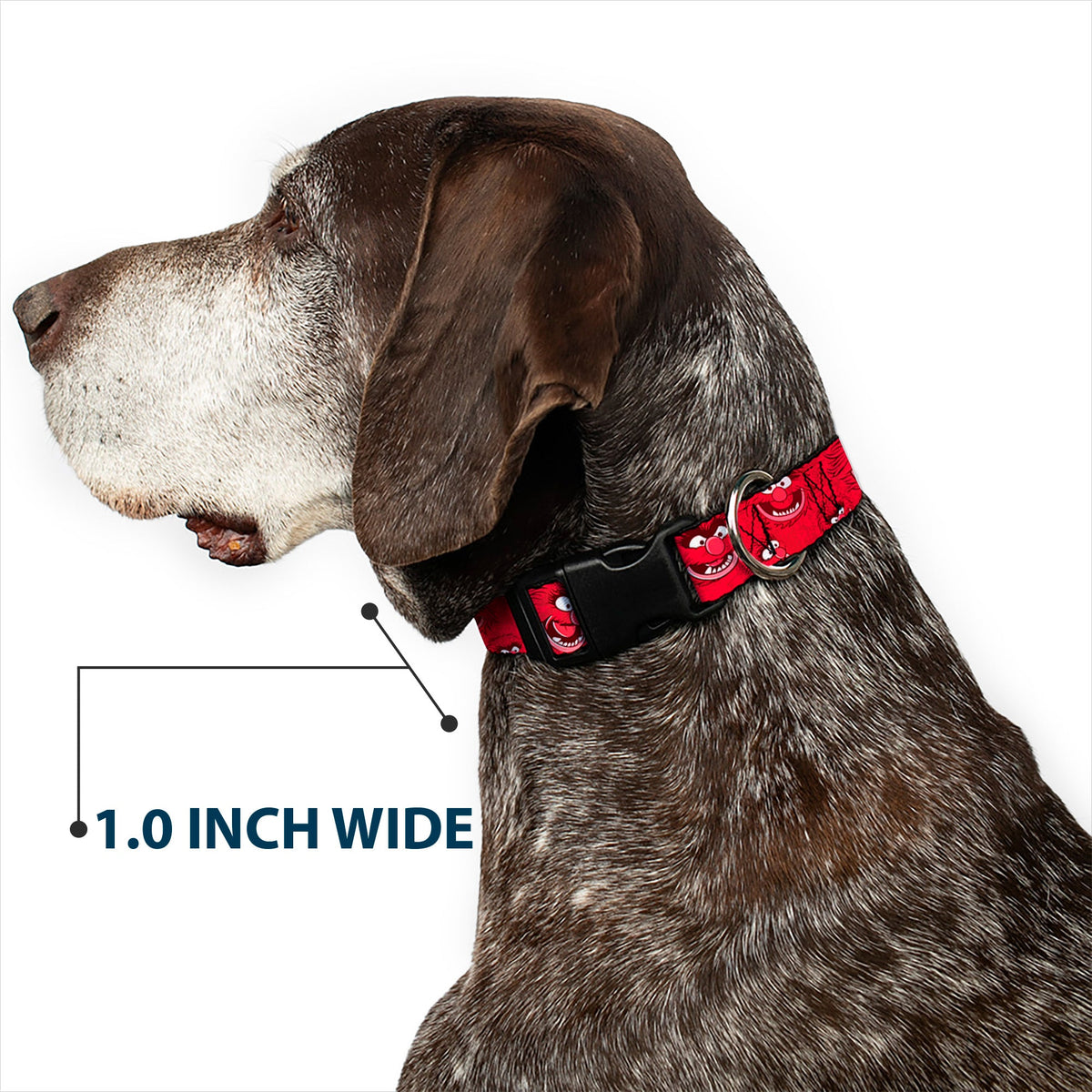 Plastic Clip Collar - Animal Expressions Scattered Reds