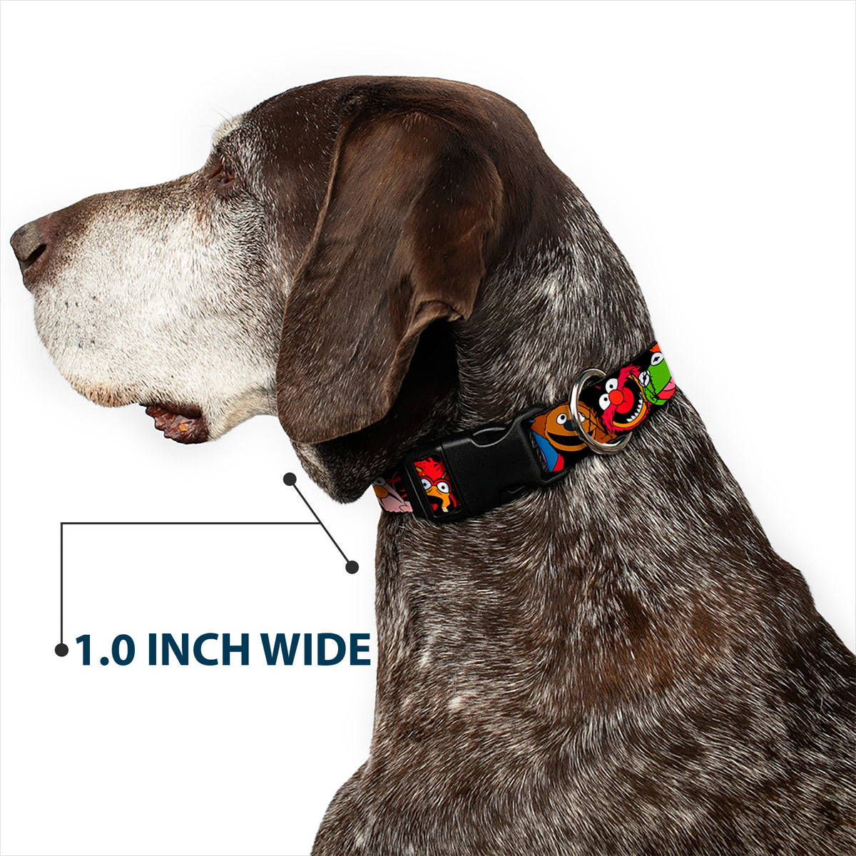 Plastic Clip Collar - Muppets Faces Black
