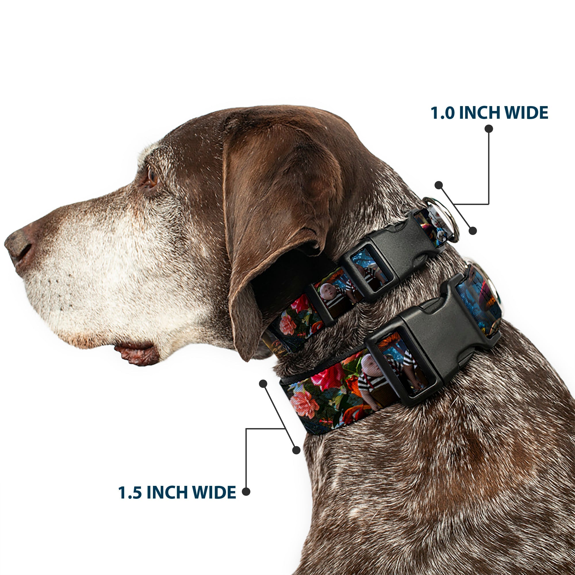 Plastic Clip Collar - Alice in Wonderland Movie Encounters