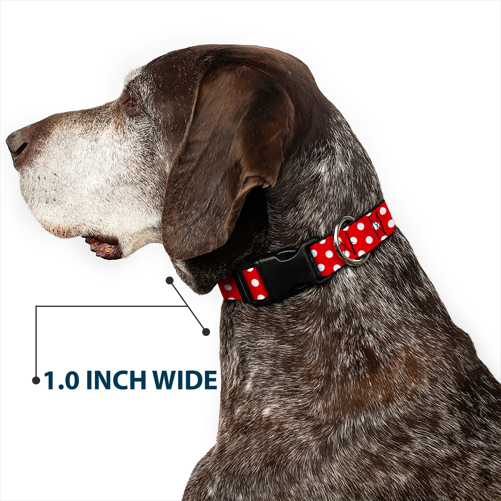 Plastic Clip Collar - Minnie Mouse Polka Dots Red/White