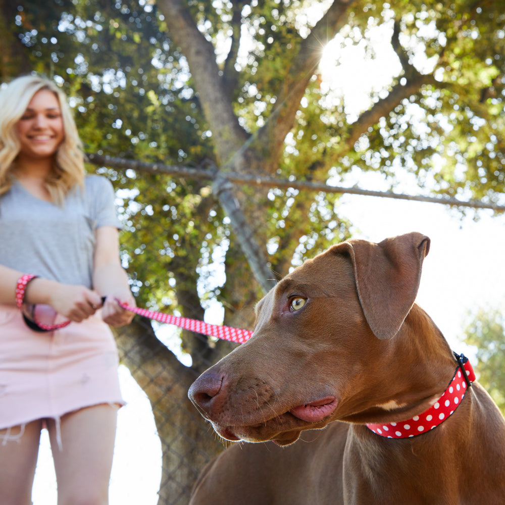 Plastic Clip Collar - Minnie Mouse Polka Dots Red/White