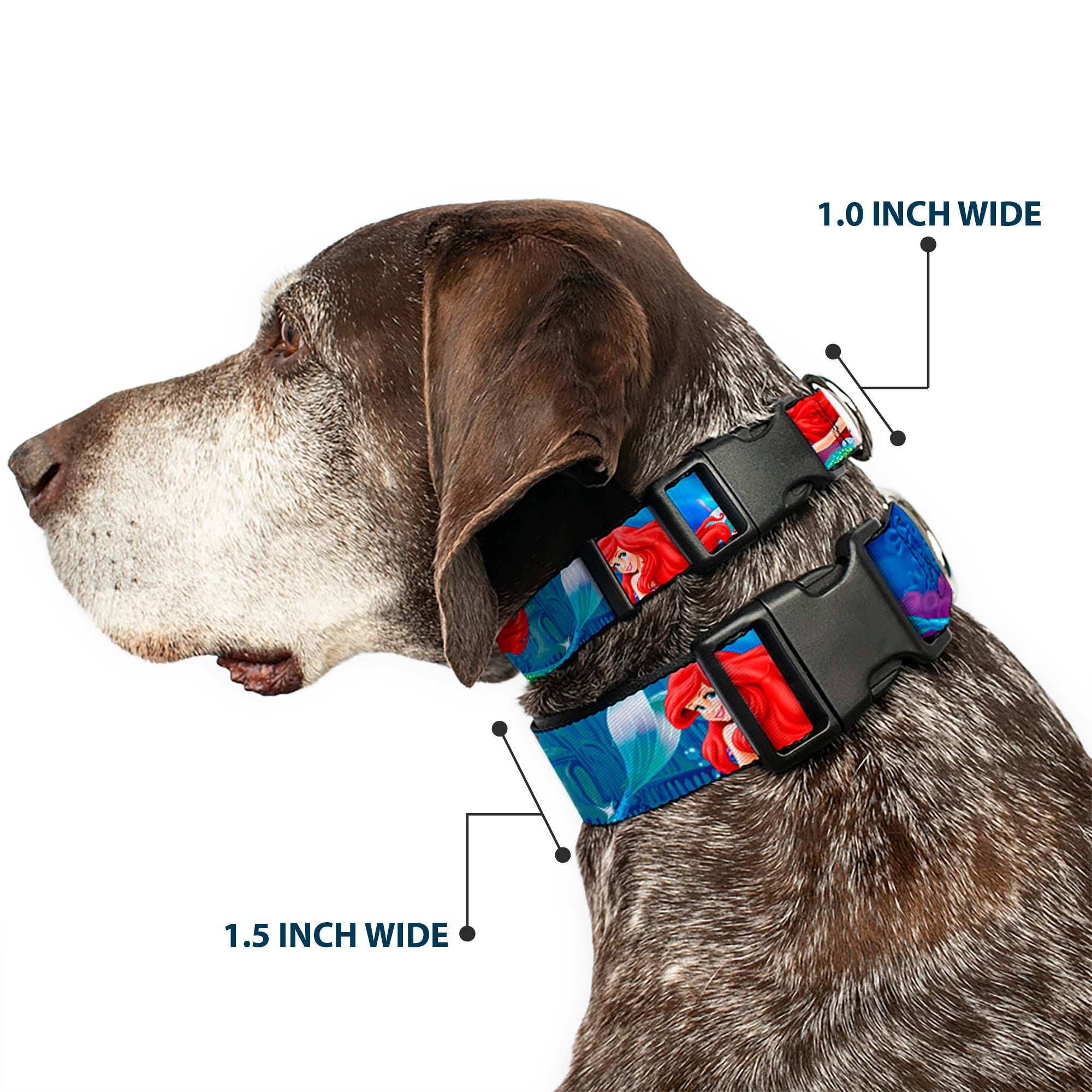 Plastic Clip Collar - Ariel Vivid Underwater Sparkle Poses/Castle