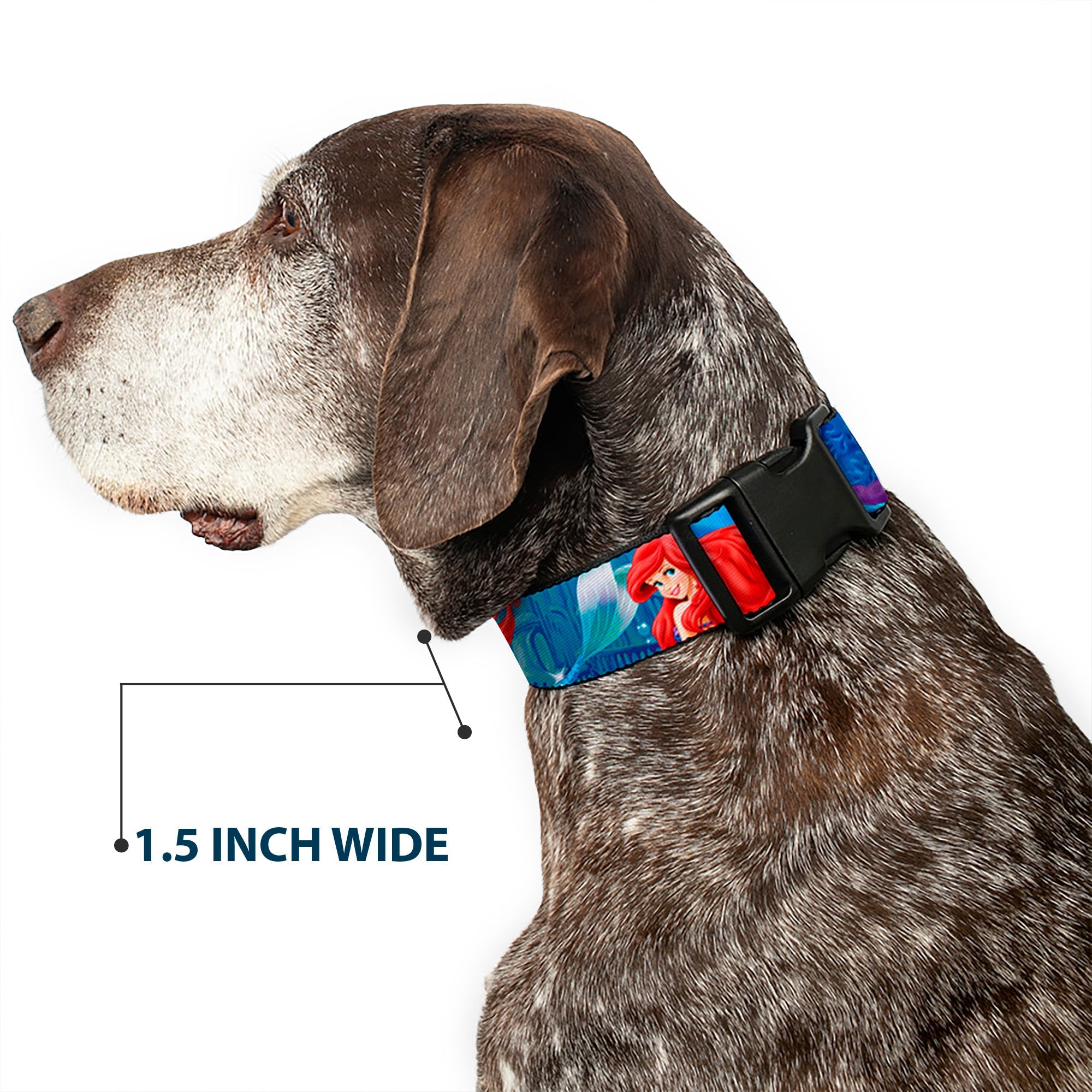 Plastic Clip Collar - Ariel Vivid Underwater Sparkle Poses/Castle