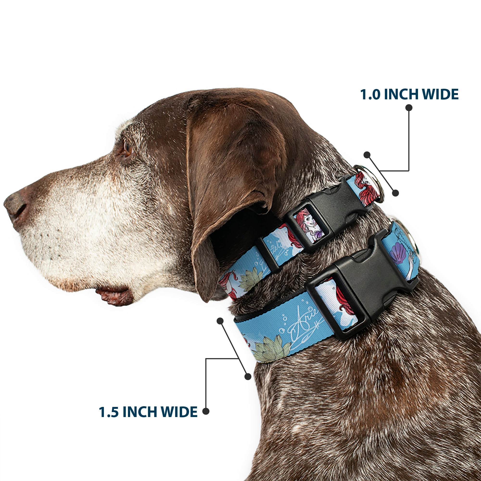 Plastic Clip Collar - ARIEL Sketch Poses Blues/Lavender