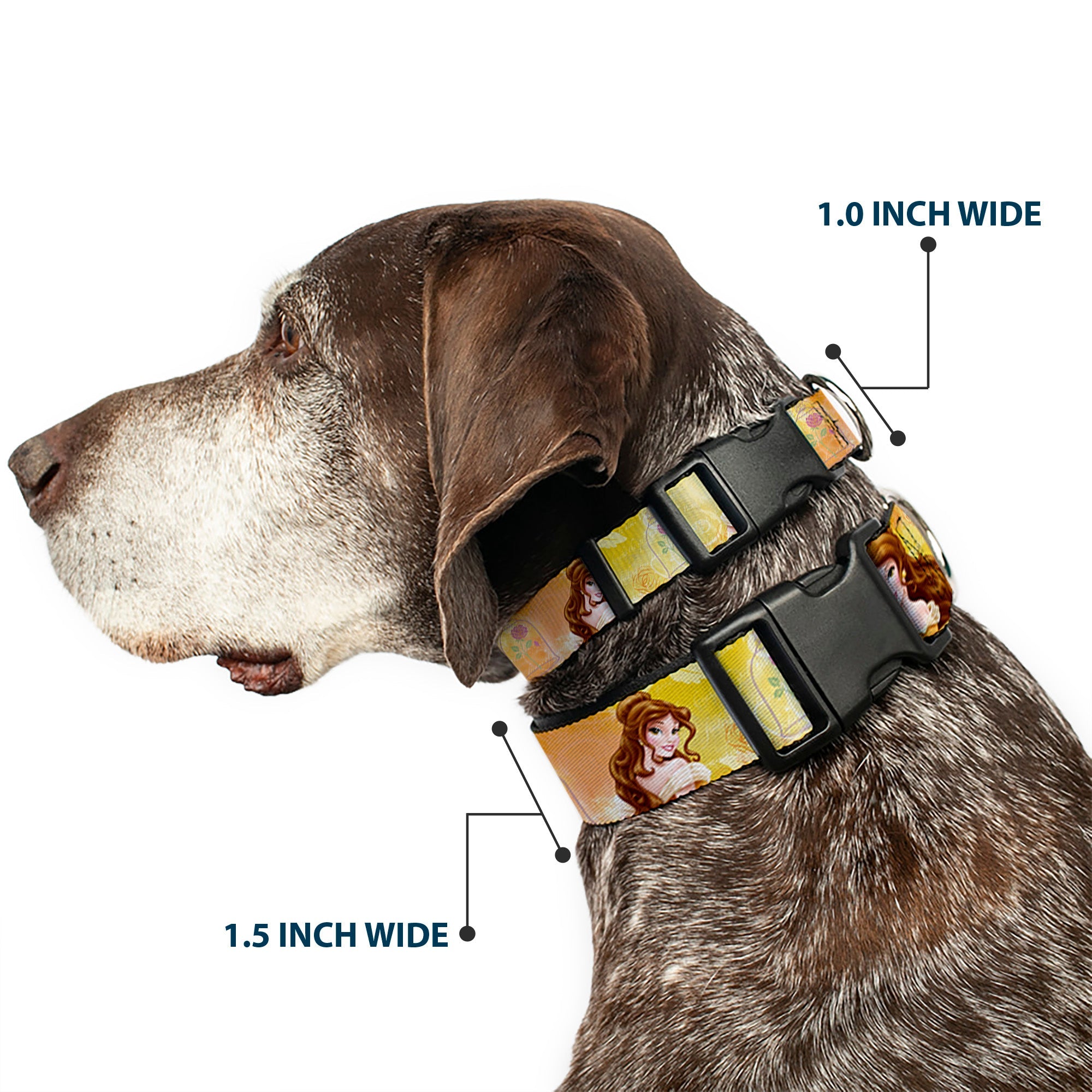 Plastic Clip Collar - Belle Poses/Enchanted Rose/Story Script Yellow/Pinks