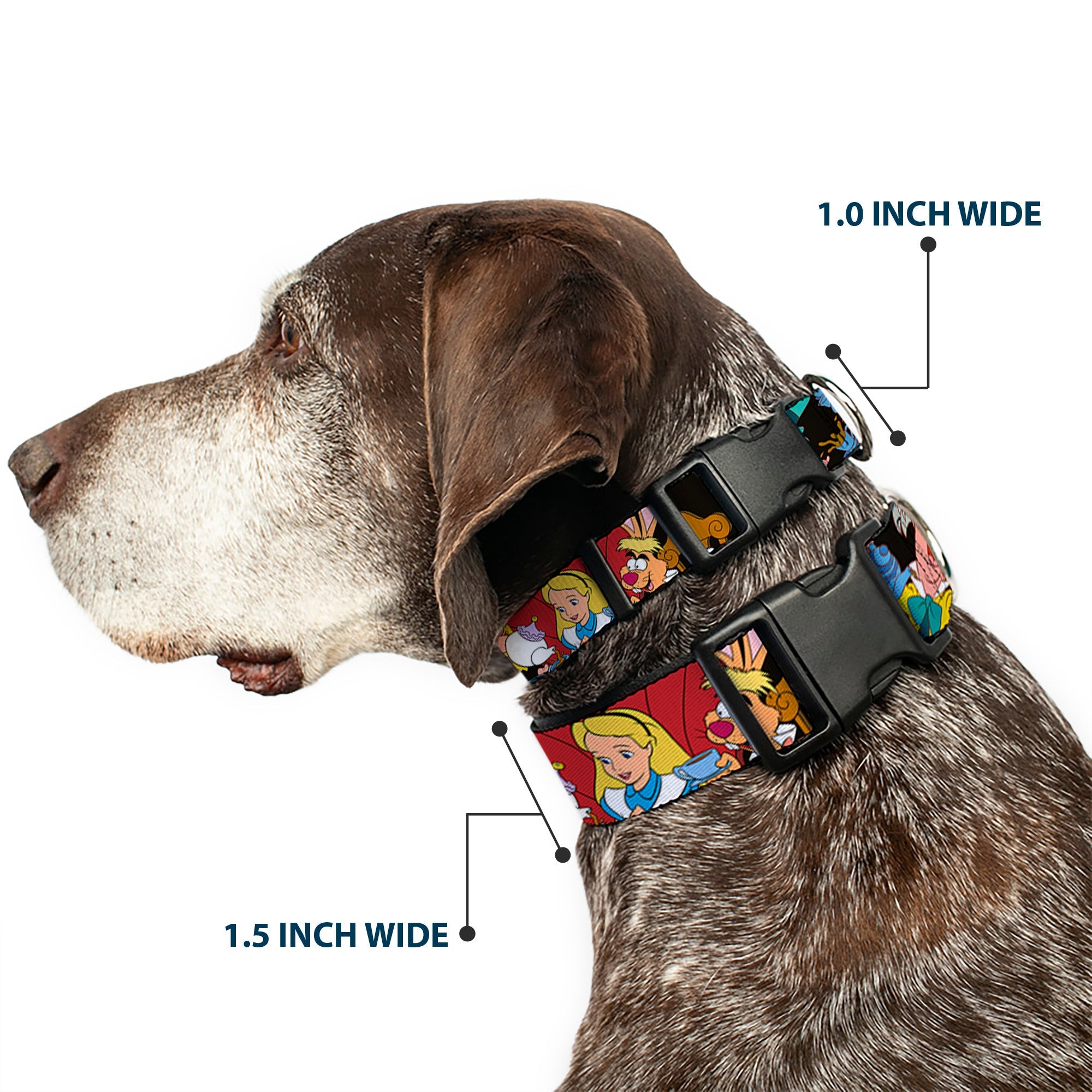 Plastic Clip Collar - Mad Hatters Tea Party Poses