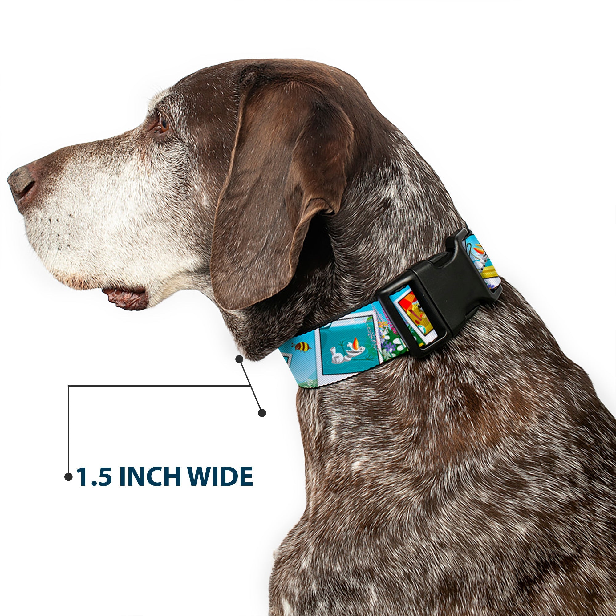 Plastic Clip Collar - Olaf Summertime Snapshots