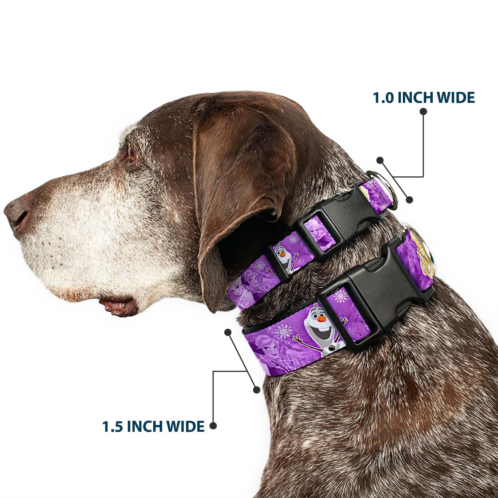 Plastic Clip Collar - Frozen Anna/Elsa/Olaf Poses/Scenes Purples
