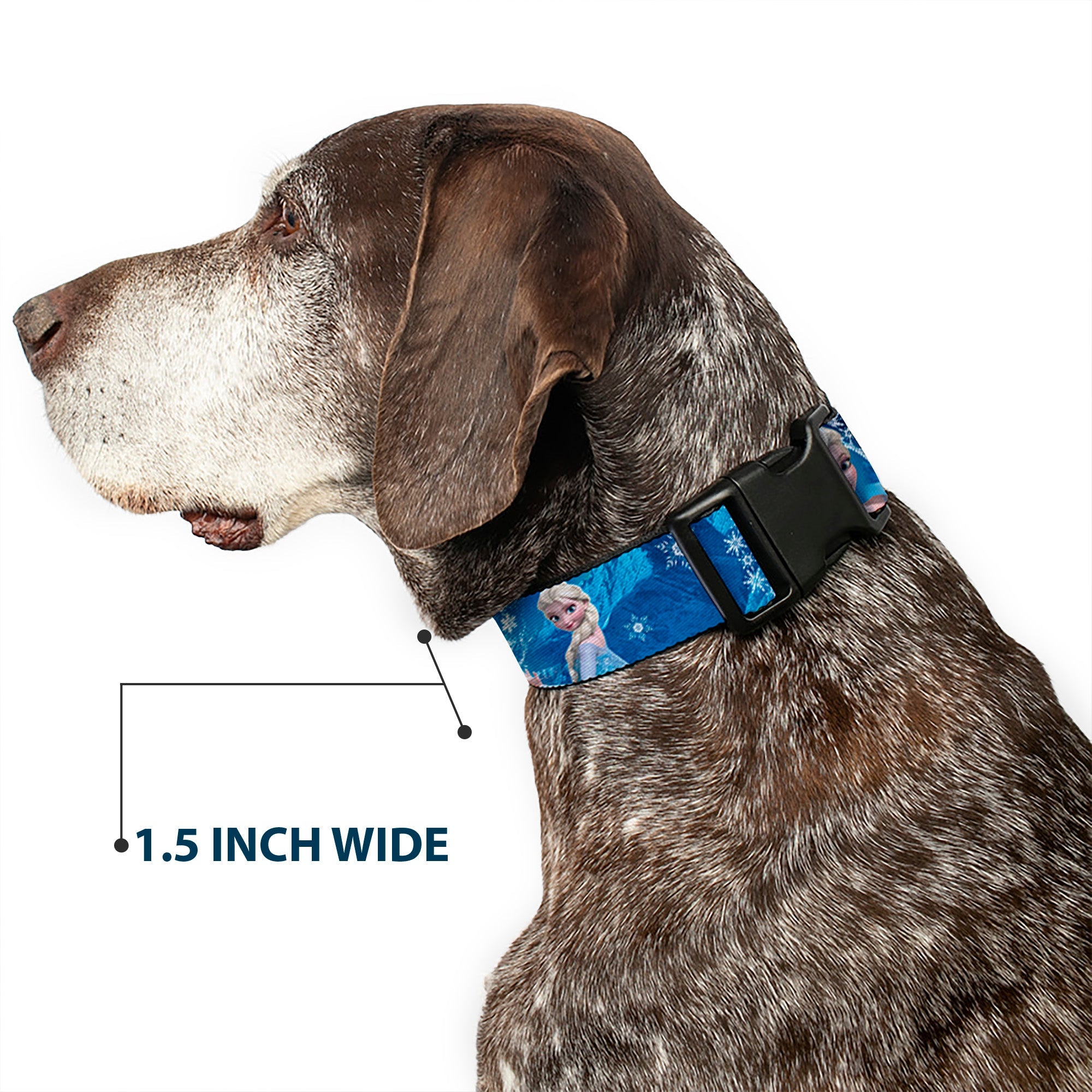 Plastic Clip Collar - Anna & Elsa Poses/Castle & Mountains Blues