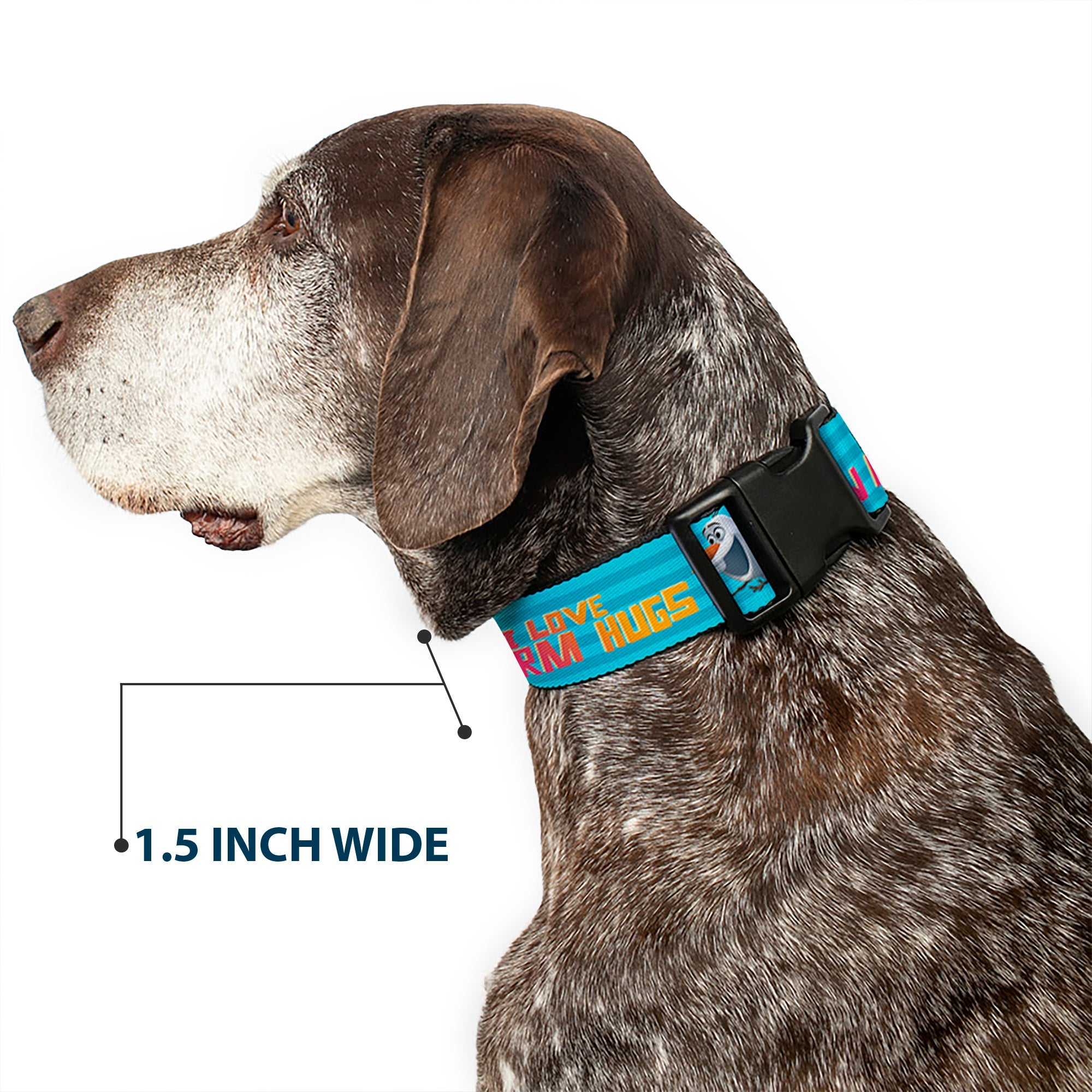 Plastic Clip Collar - Olaf Pose I LOVE WARM HUGS Stripe Blues