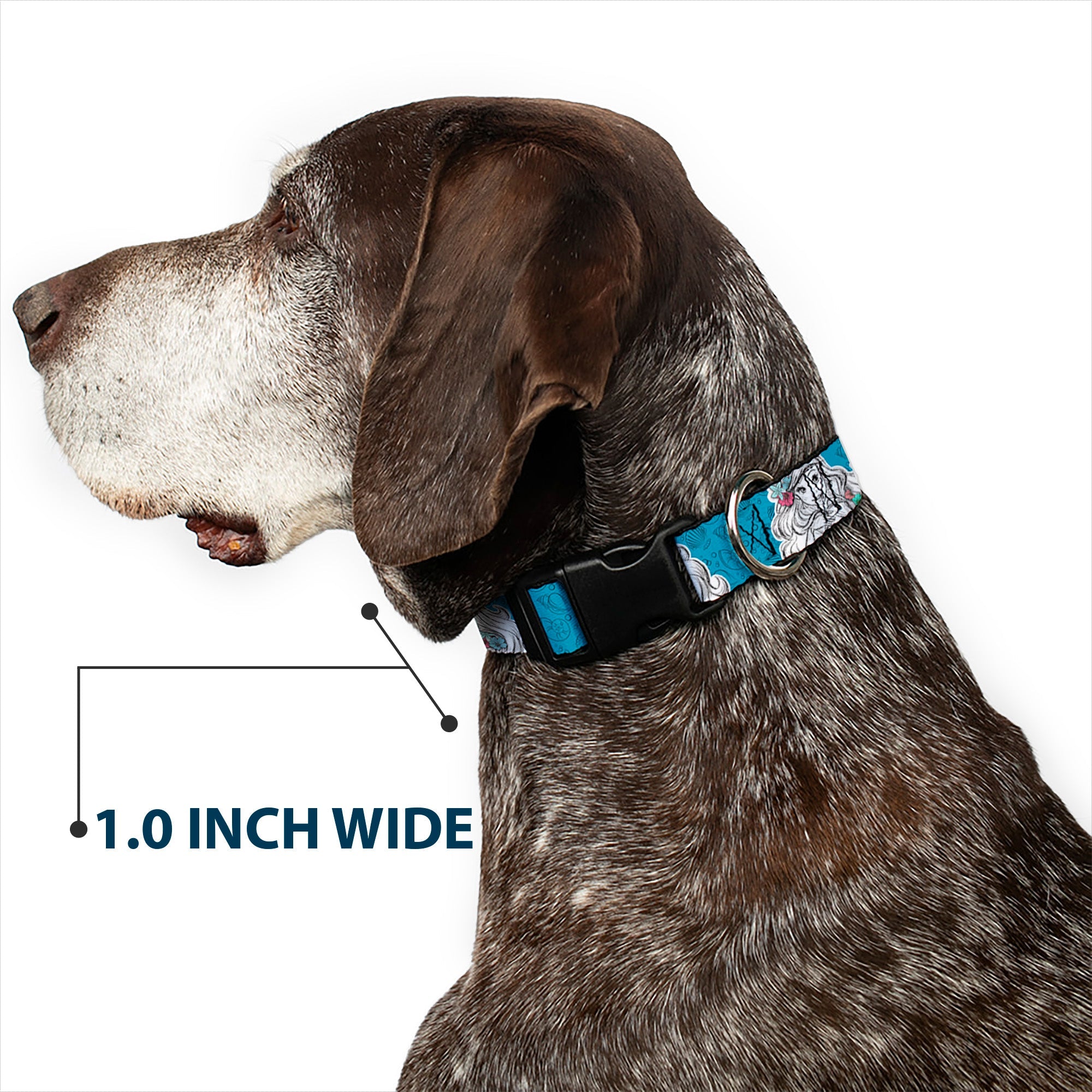 Plastic Clip Collar - Ariel Poses/Shells Sketch Blue/White