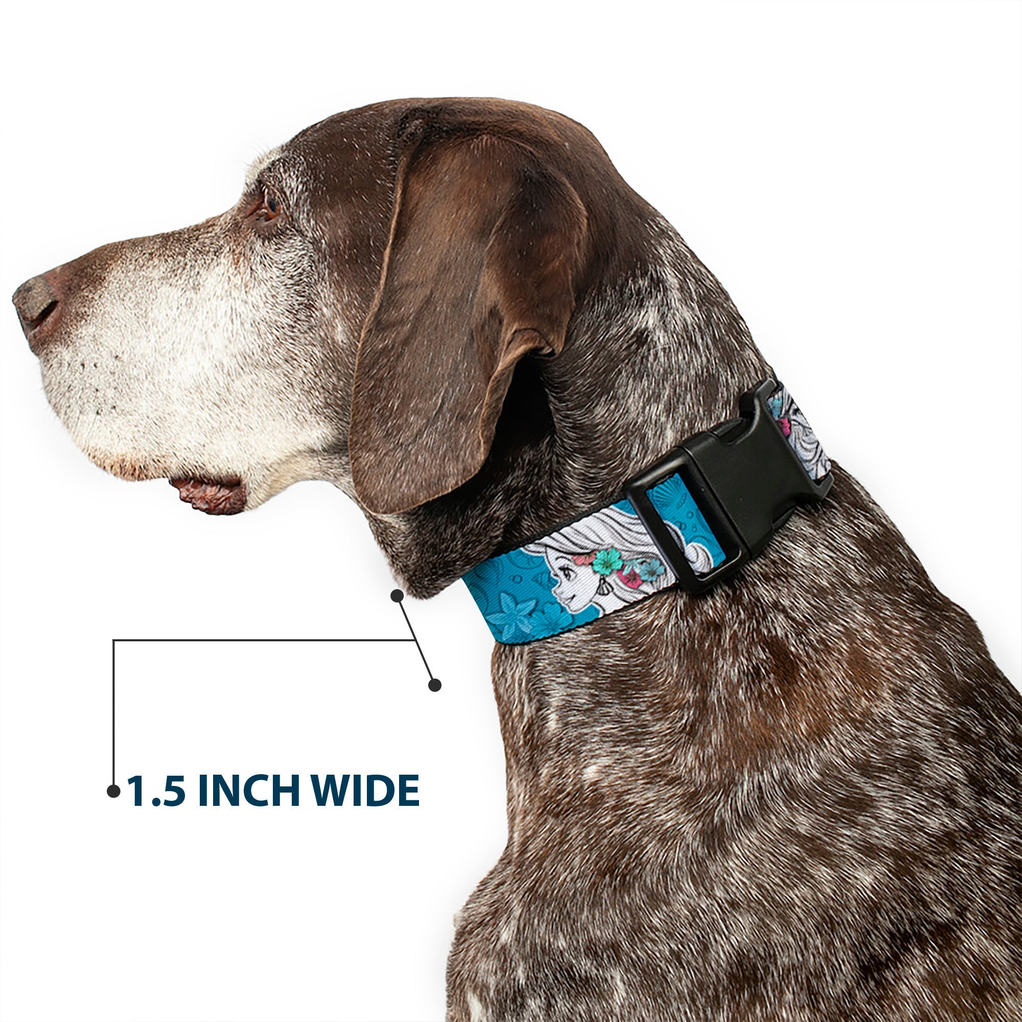 Plastic Clip Collar - Ariel Poses/Shells Sketch Blue/White