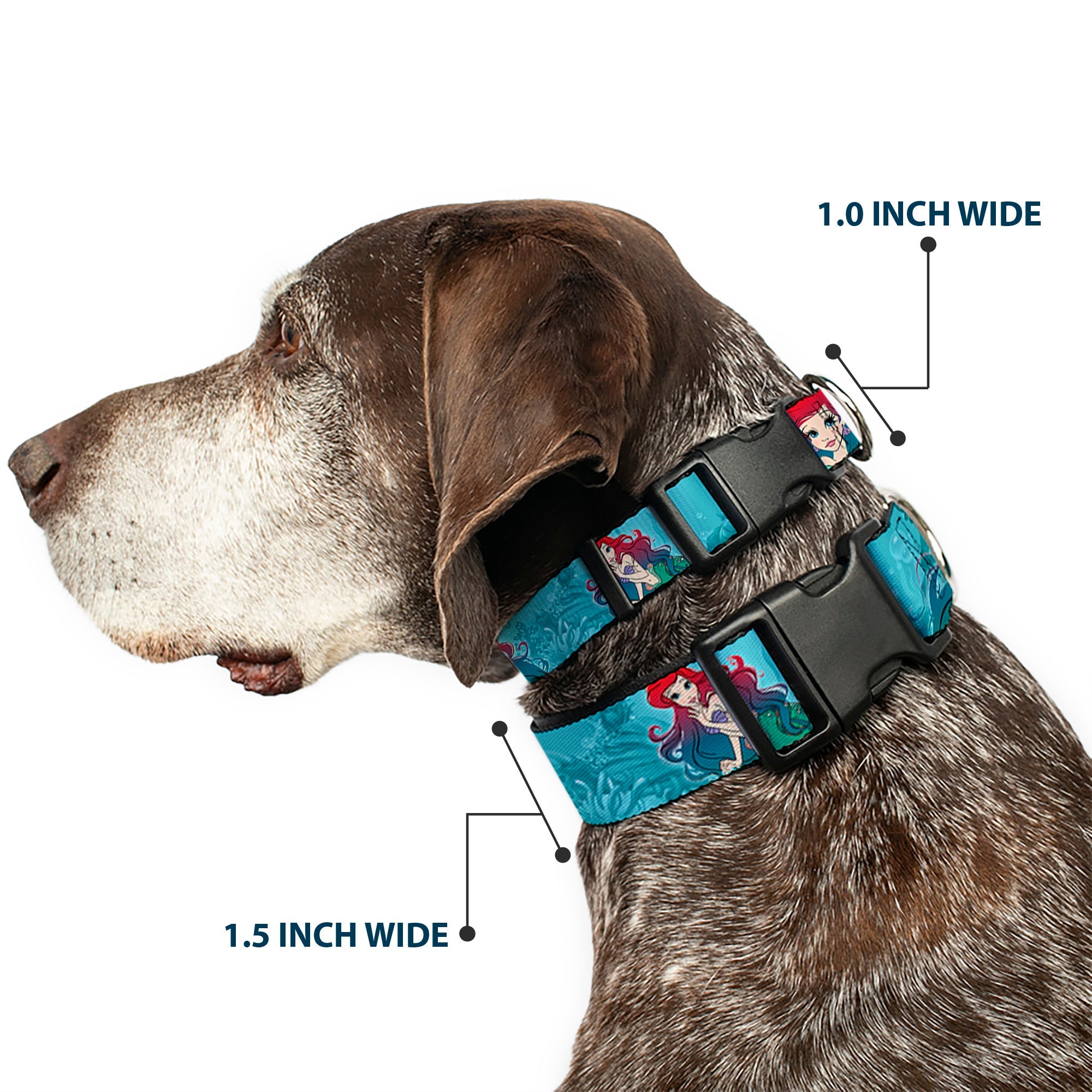 Plastic Clip Collar - Ariel Poses Coral & Castle Blues/Reds