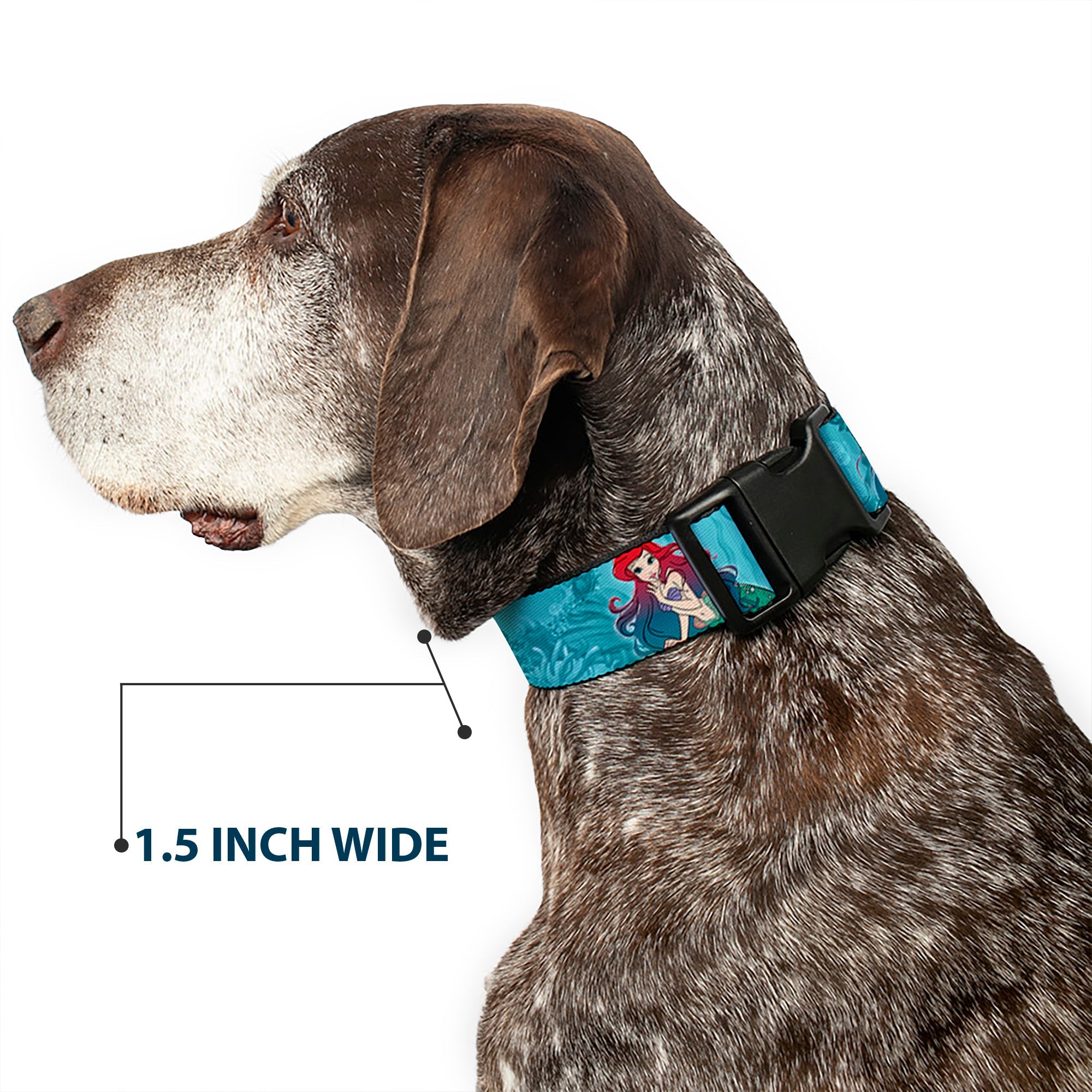 Plastic Clip Collar - Ariel Poses Coral & Castle Blues/Reds