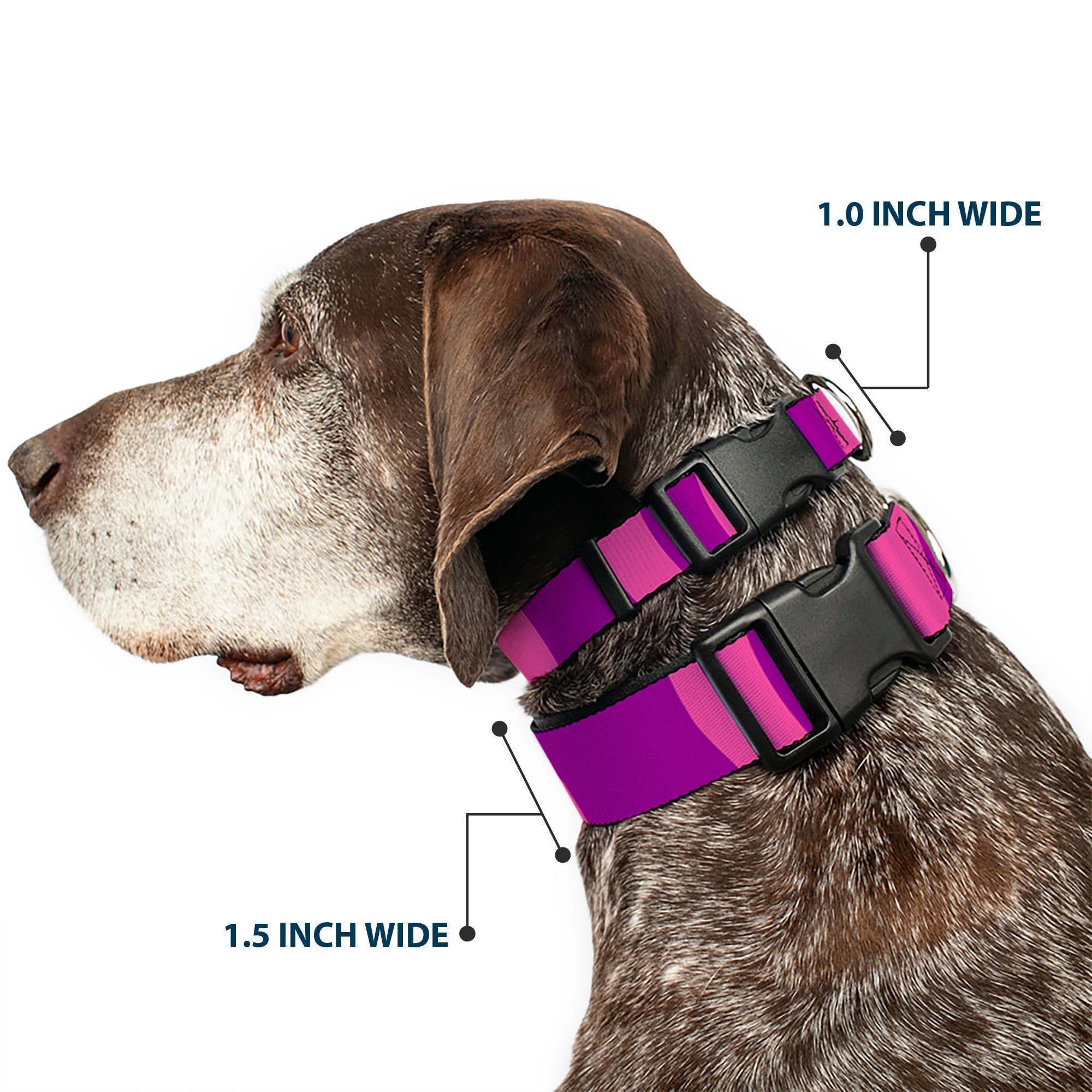 Plastic Clip Collar - Cheshire Cat Stripe Pink/Purple