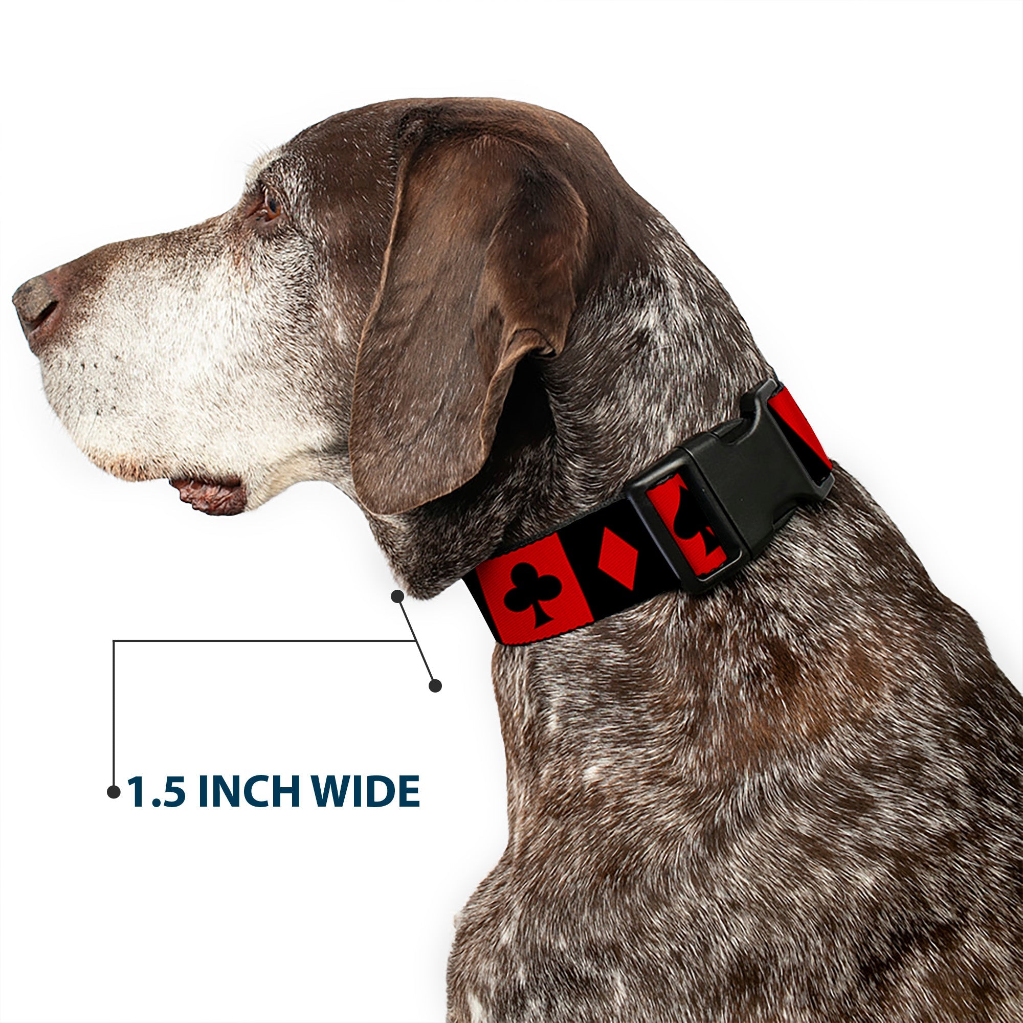 Plastic Clip Collar - Alice in Wonderland Card Suits Red/Black