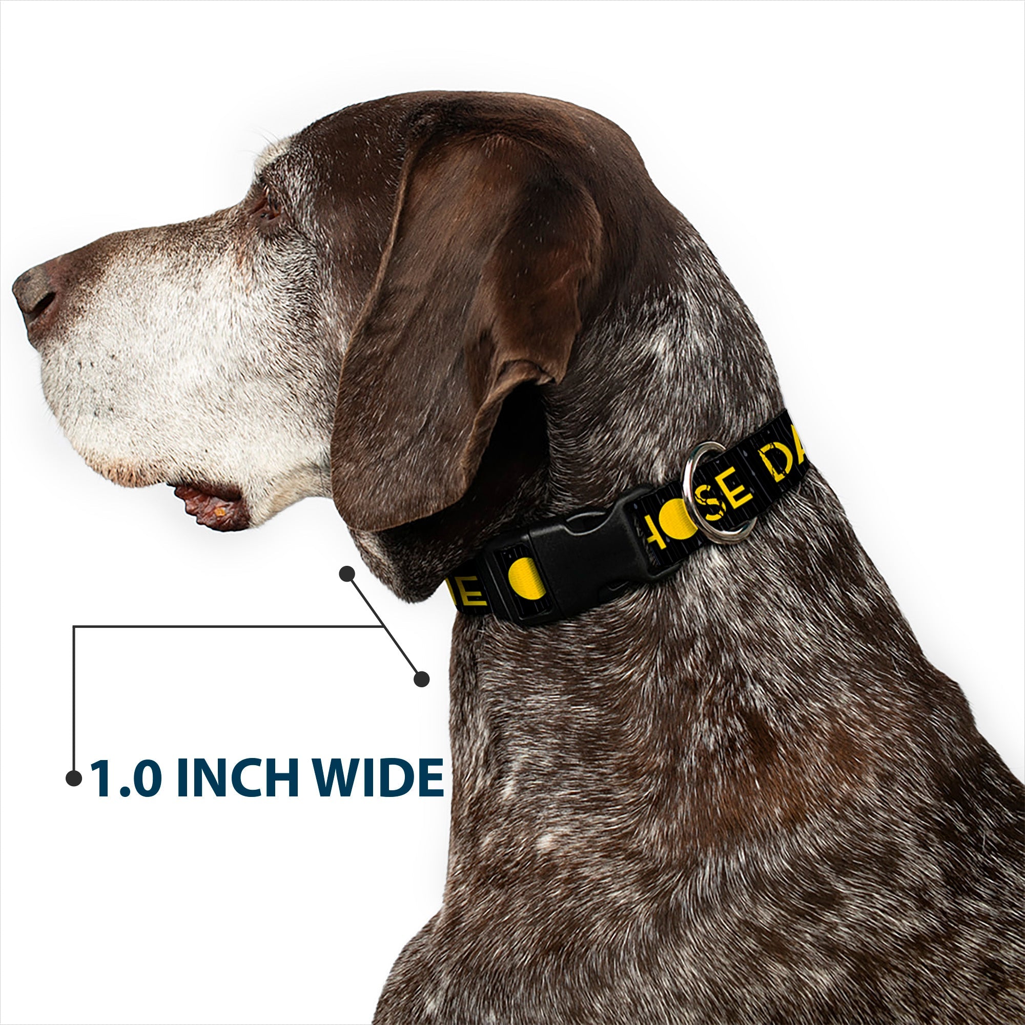 Plastic Clip Collar - Joy Poses/Rain ONE OF THOSE DAYS Black/Gray/Blues/Yellow
