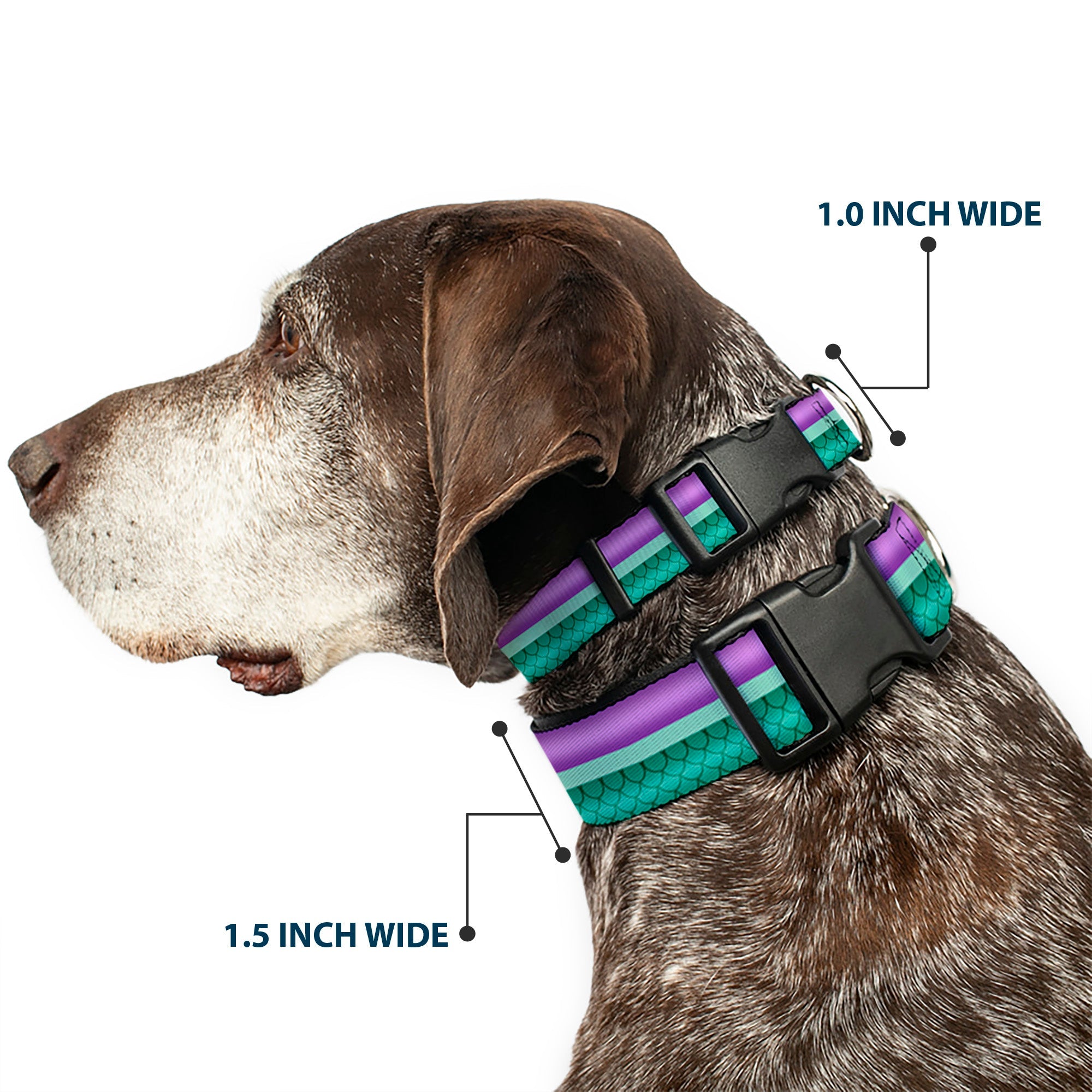 Plastic Clip Collar - Little Mermaid Stripe/Shell Purple/Green/Gold