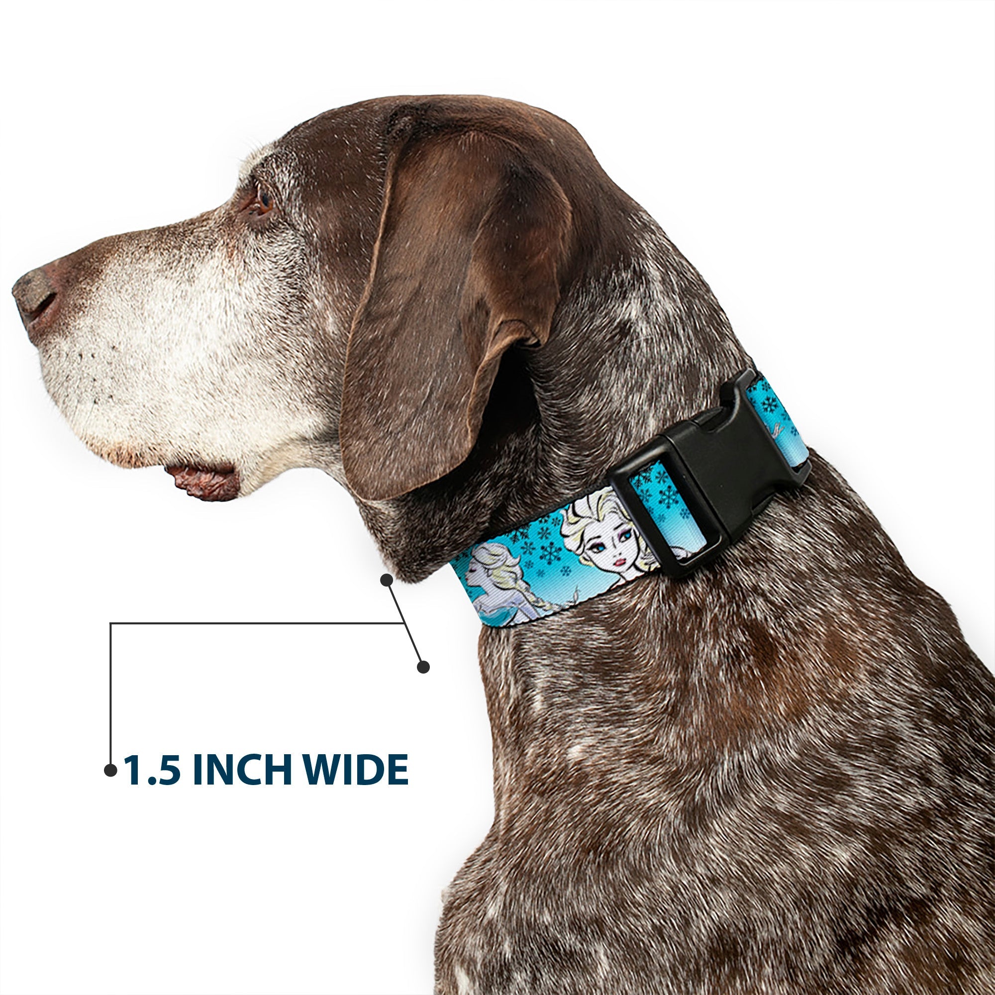Plastic Clip Collar - Anna/Snowflakes Frozen Art Collection Poses
