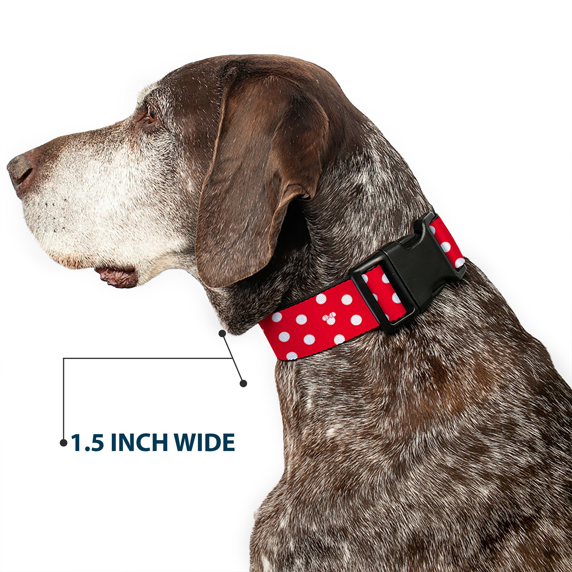 Plastic Clip Collar - Minnie Mouse Polka Dot/Mini Silhouette Red/White