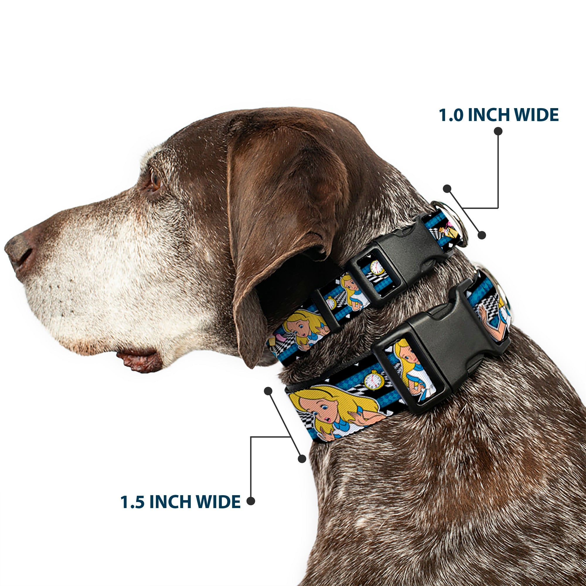 Plastic Clip Collar - Alice in Wonderland Poses/Clock/Bottle Diamond/Stripe Black/White/Blues