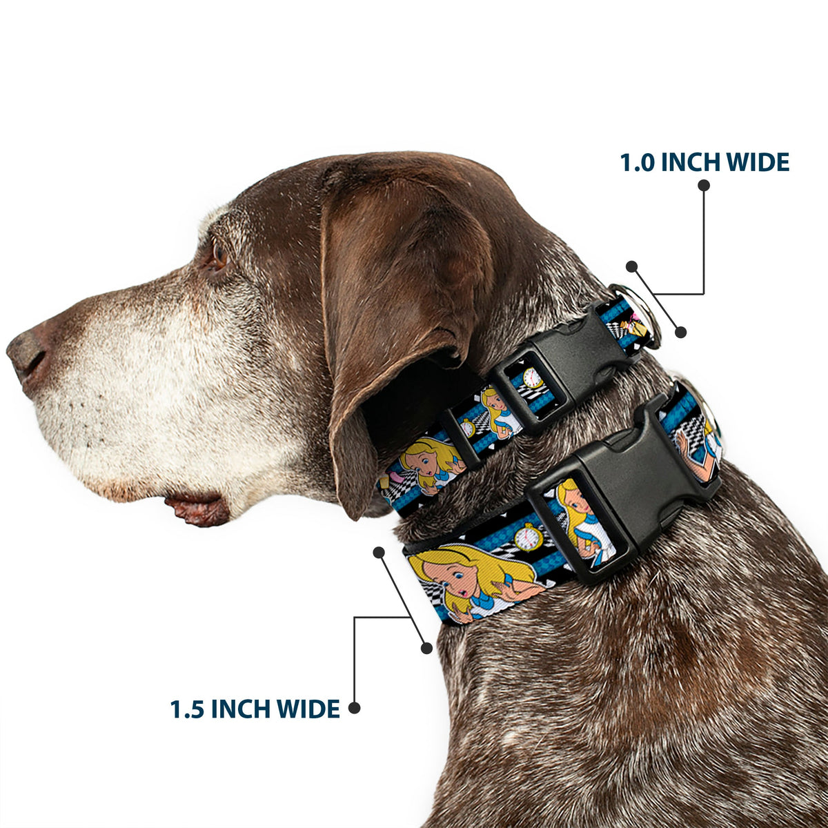 Plastic Clip Collar - Alice in Wonderland Poses/Clock/Bottle Diamond/Stripe Black/White/Blues