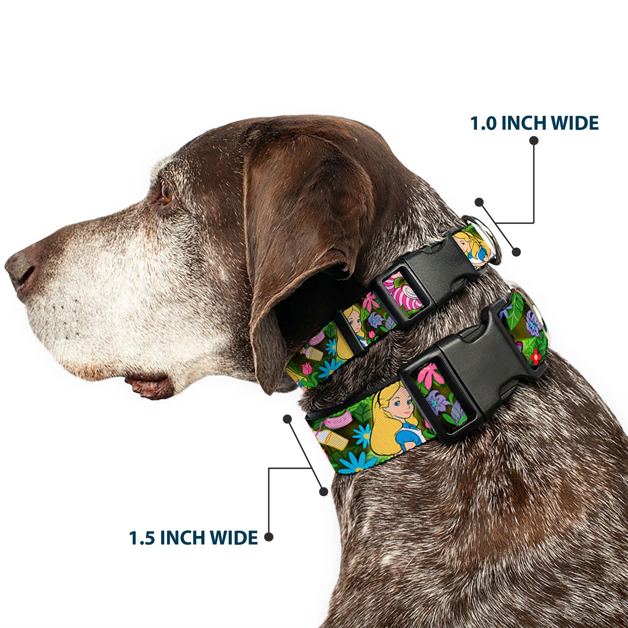 Plastic Clip Collar - Alice & Cheshire Cat Poses/Flowers