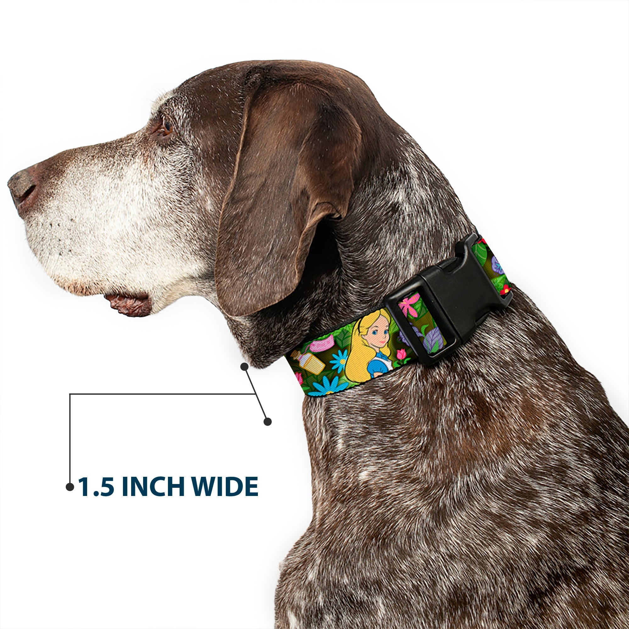 Plastic Clip Collar - Alice & Cheshire Cat Poses/Flowers