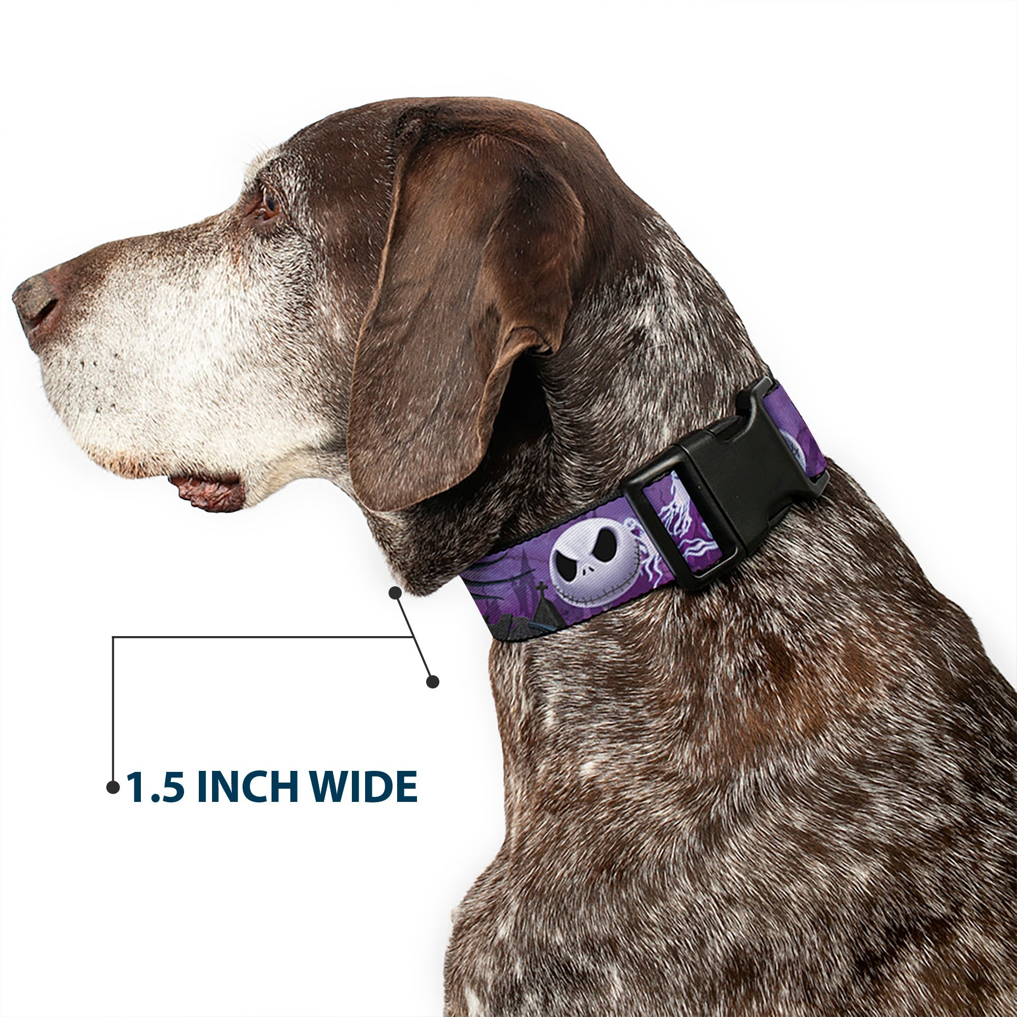 Plastic Clip Collar - Jack Expressions/Ghosts in Cemetery Purples/Grays/White