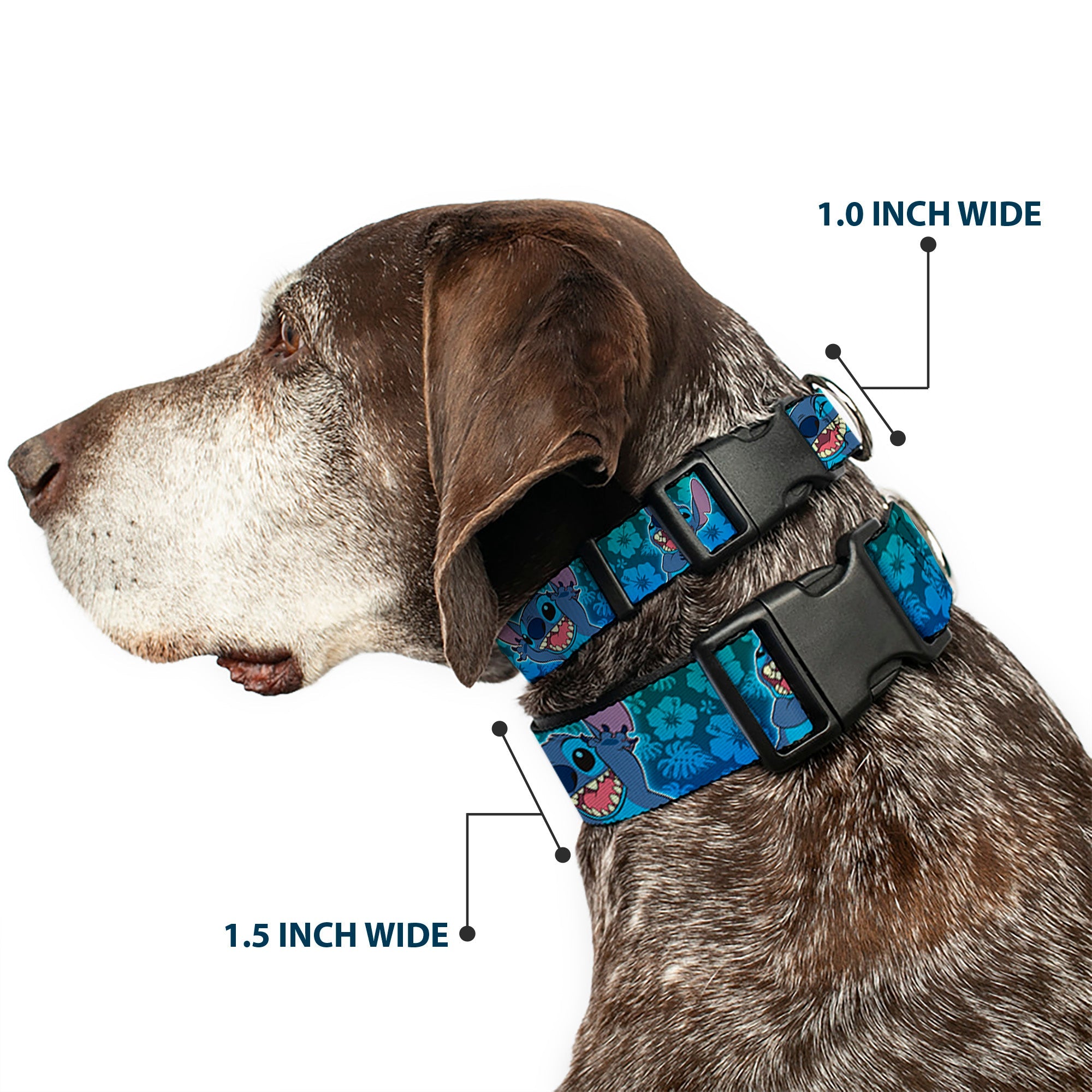 Plastic Clip Collar - Stitch Expressions/Hibiscus Collage Green-Blue Fade