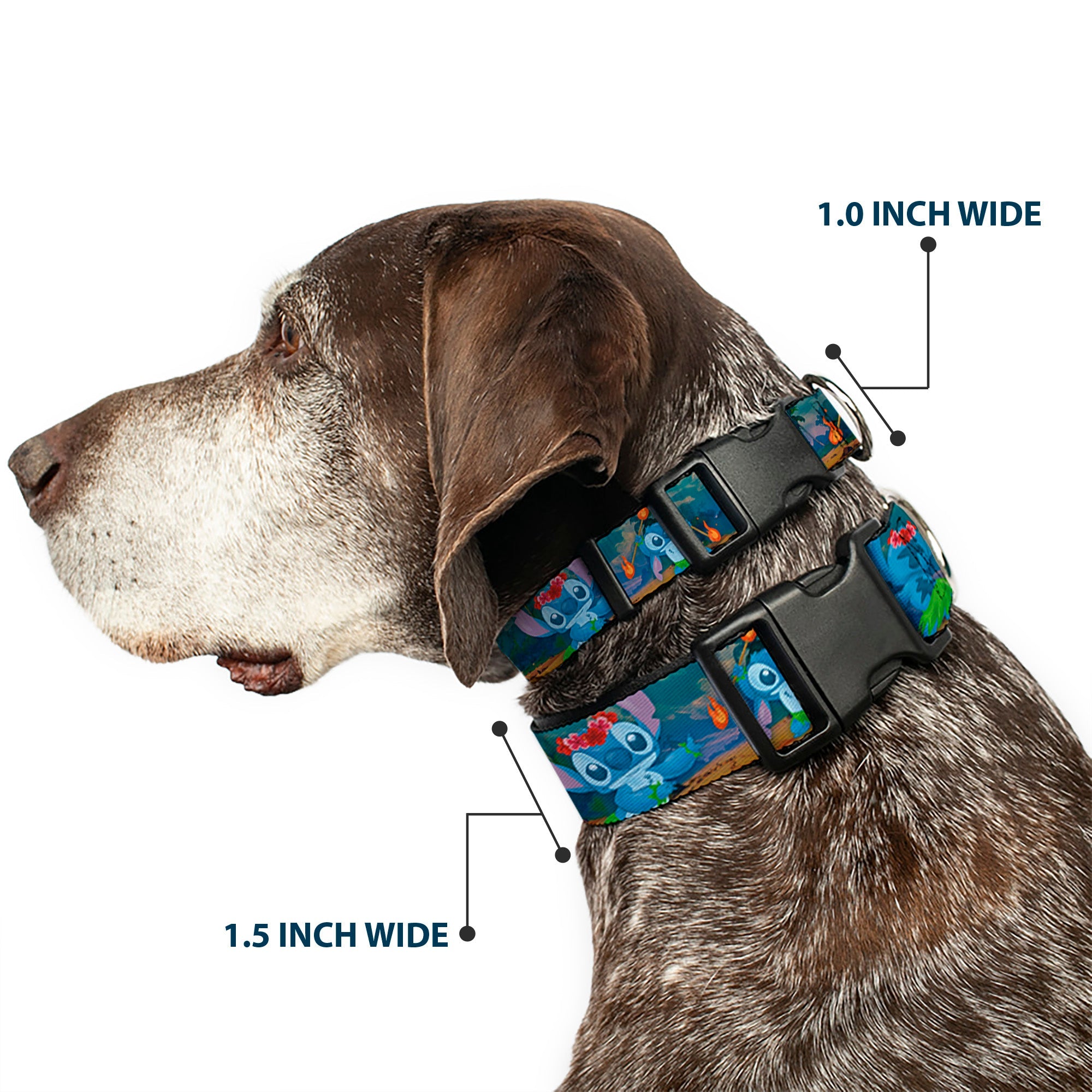 Plastic Clip Collar - Stitch Hula Dance 5-Poses