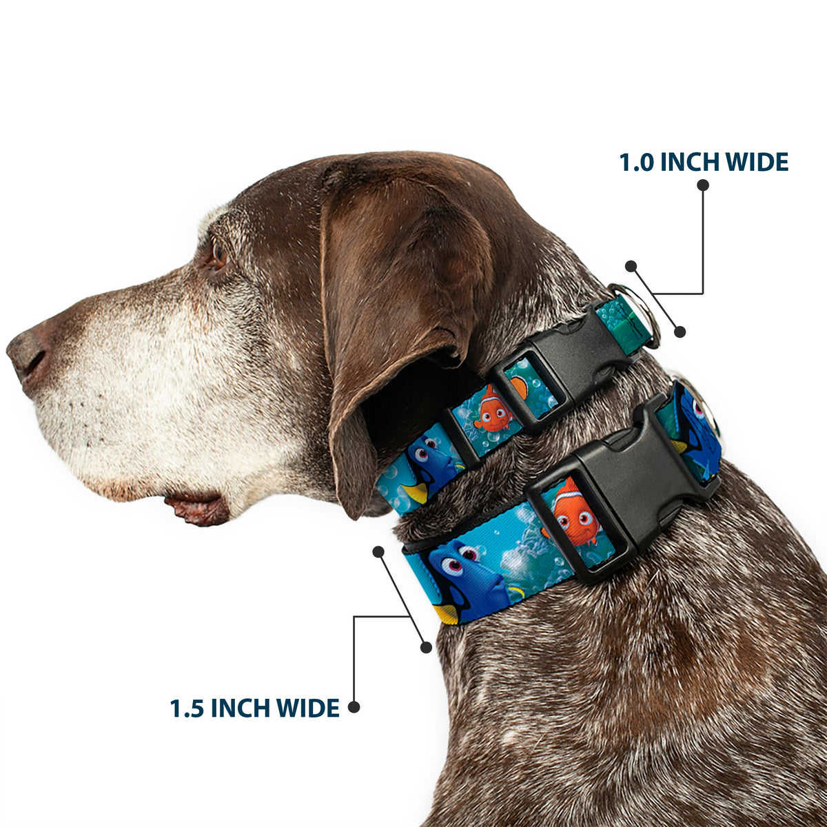 Plastic Clip Collar - Nemo & Dory Poses