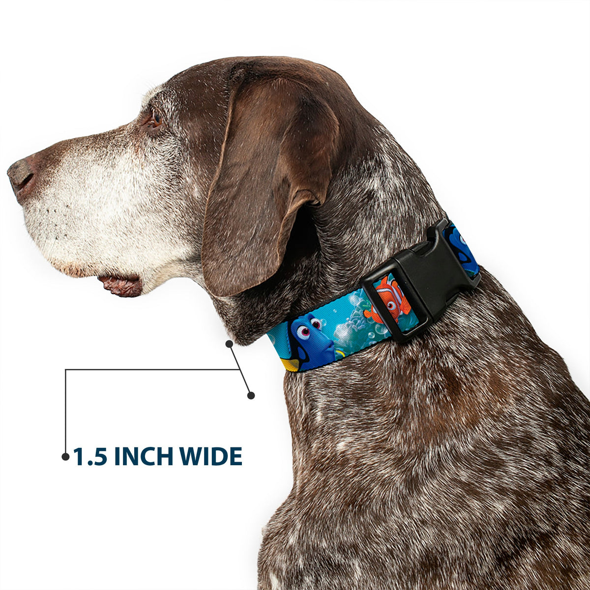 Plastic Clip Collar - Nemo & Dory Poses