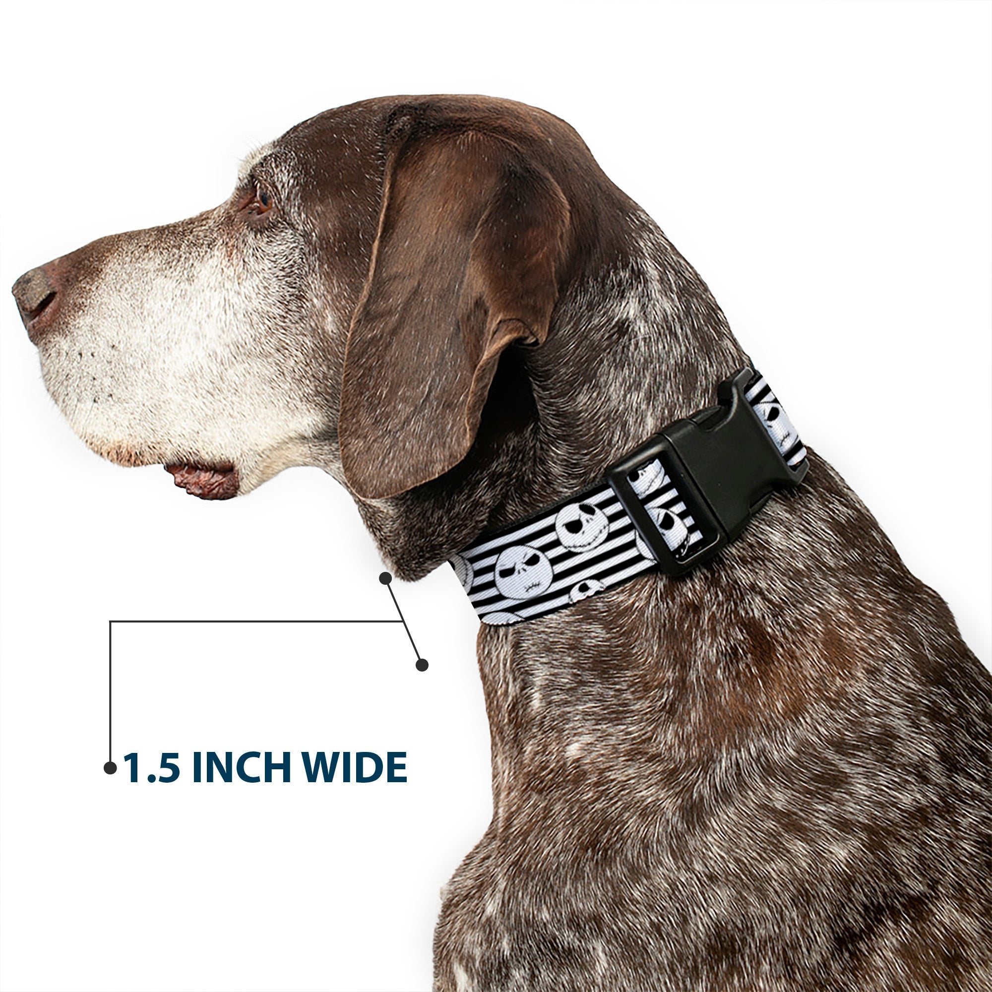 Plastic Clip Collar - Jack Expressions/Stripe White/Black