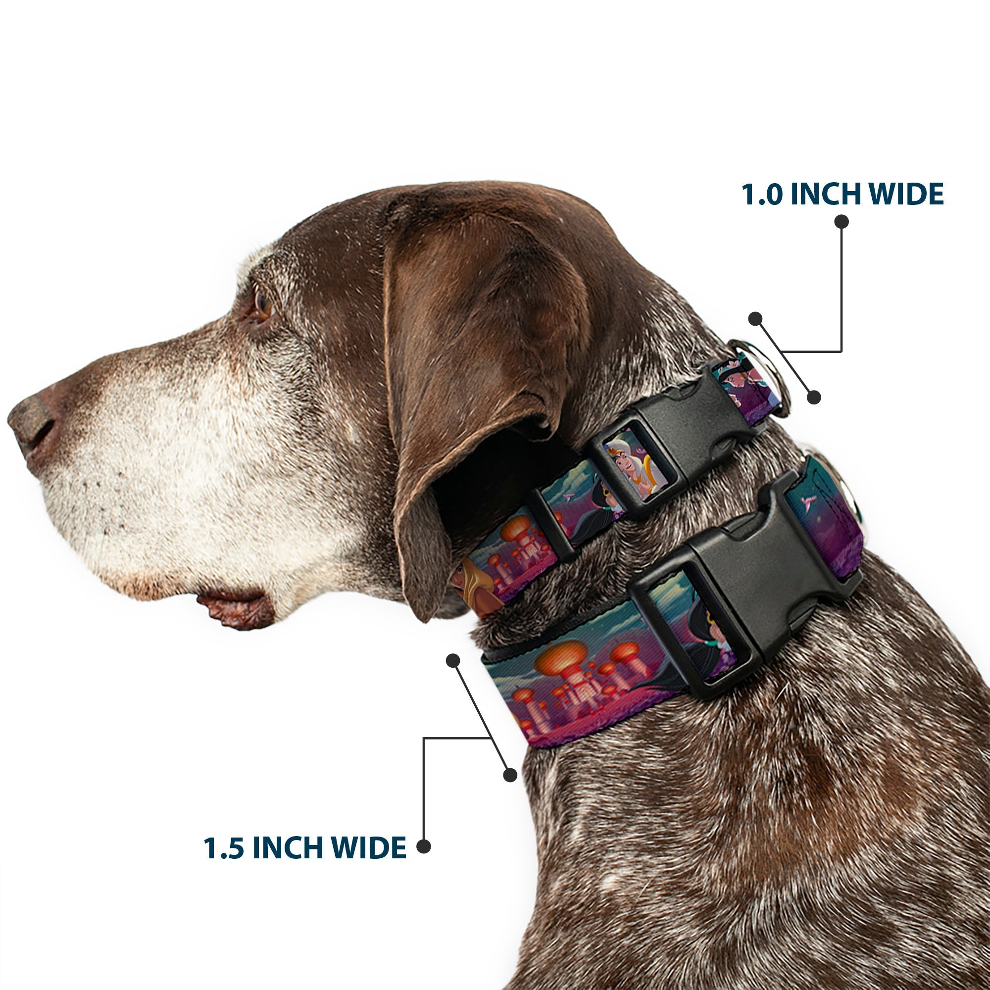 Plastic Clip Collar - Aladdin & Jasmine Scenes/Castle/Birds
