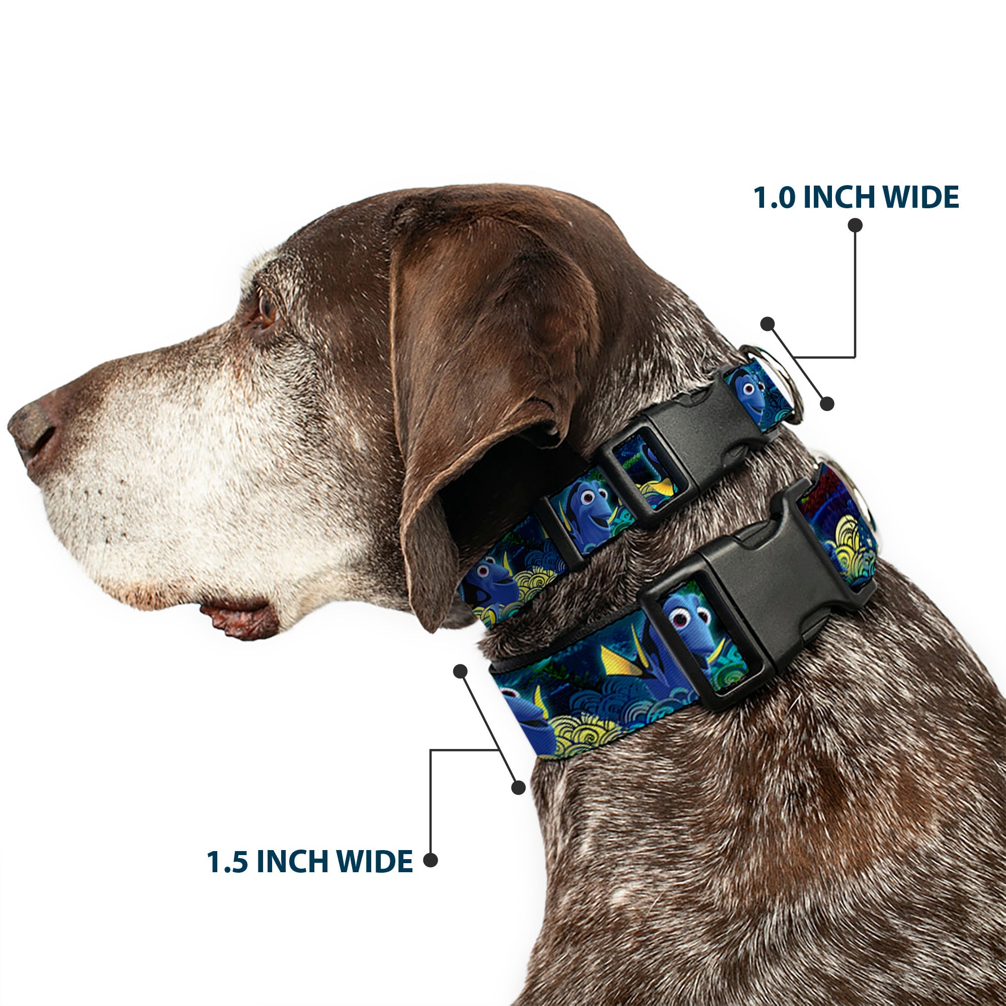Plastic Clip Collar - Dory Poses/Swirls Blues/Yellows