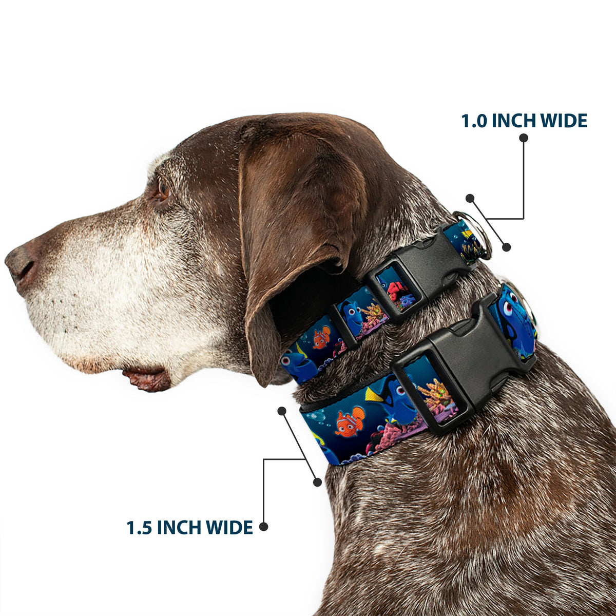 Plastic Clip Collar - Dory Poses & Friends Under the Sea