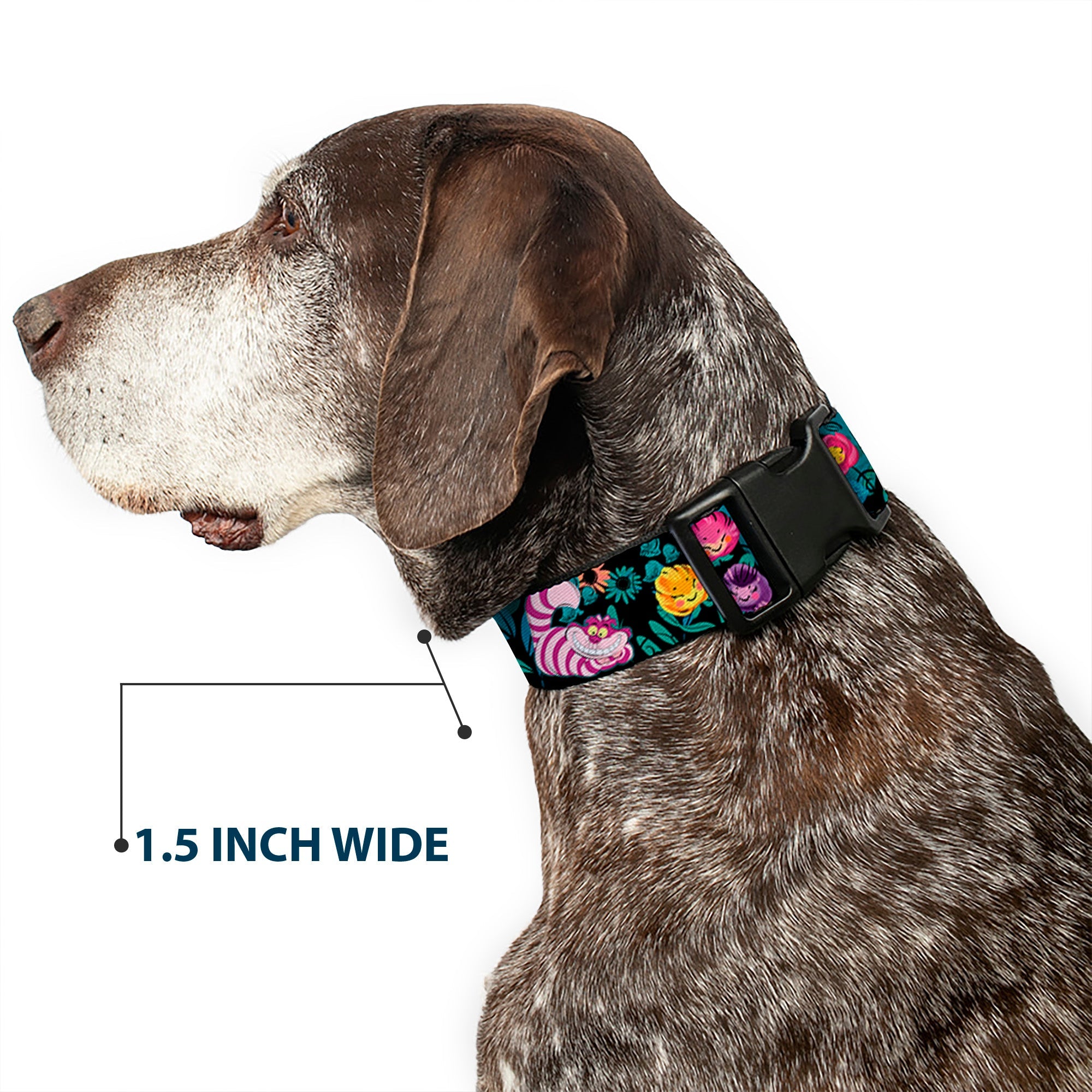 Plastic Clip Collar - Alice/Cheshire Cat/Flowers Poses Black/Multi Color