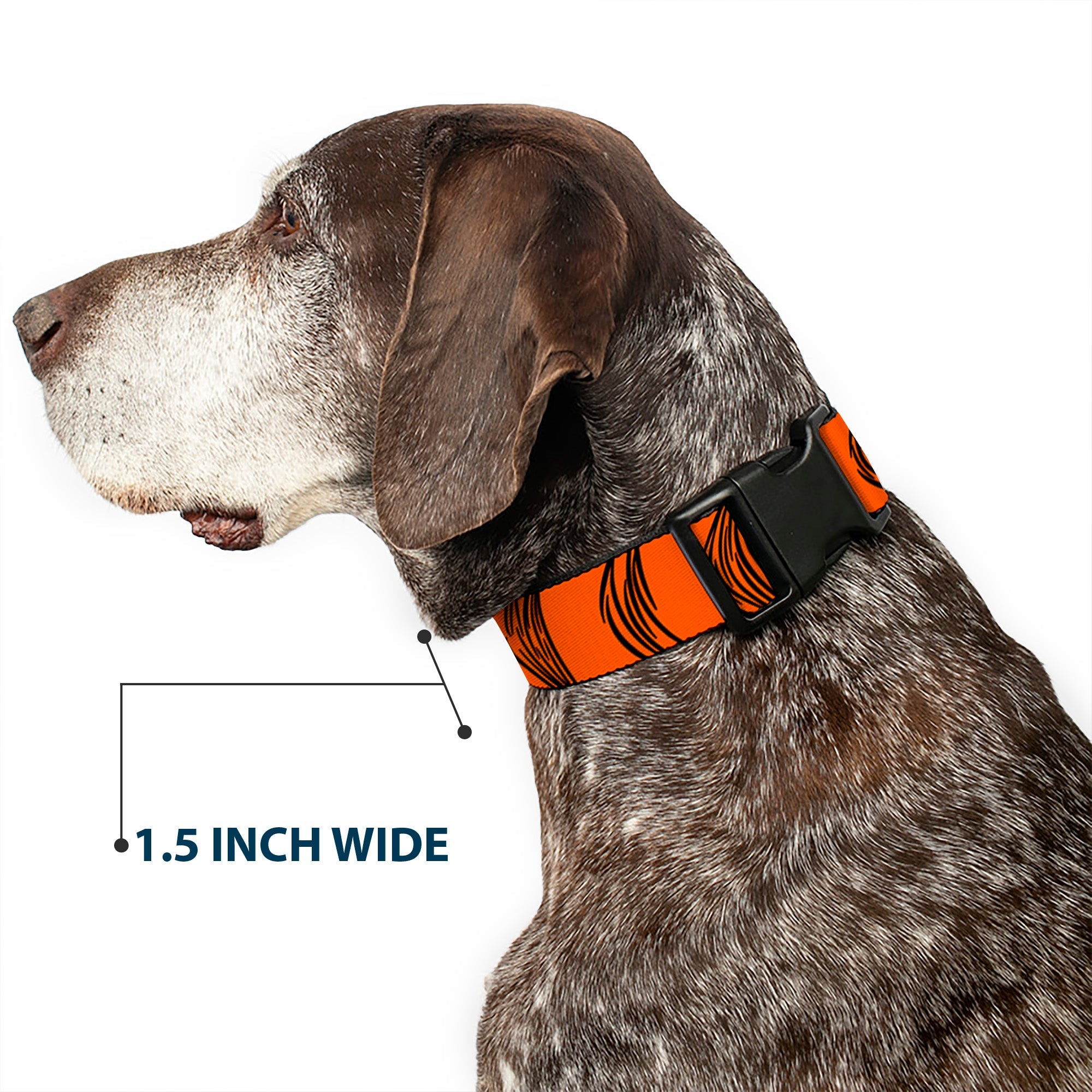 Plastic Clip Collar - Tigger Stripes Orange/Black