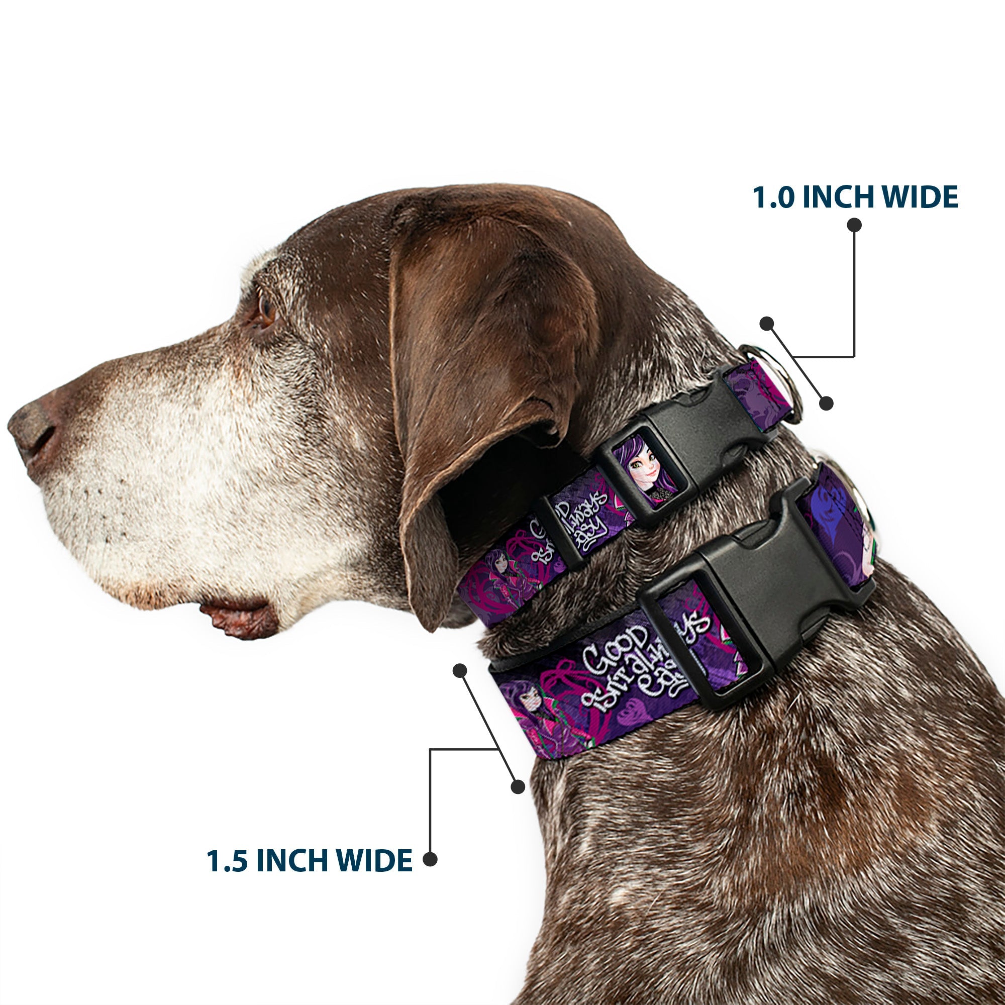 Plastic Clip Collar - Descendants Mal 3-Poses GOOD ISNT ALWAYS/Hearts/Dragons EASY Purples/Pinks