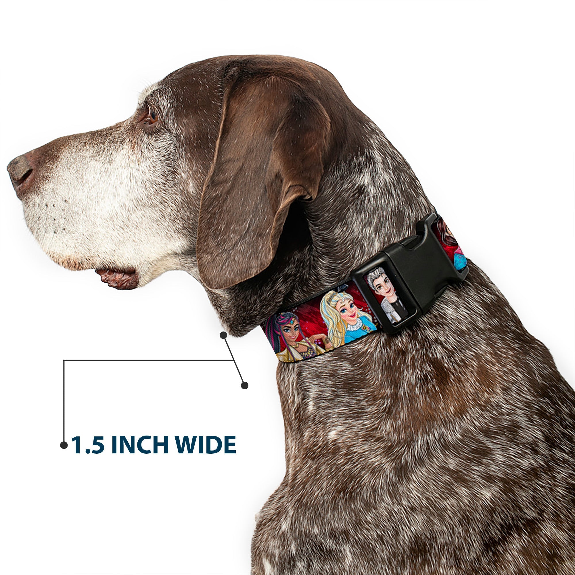 Plastic Clip Collar - Descendants 11-Character Group Pose Reds/Gray