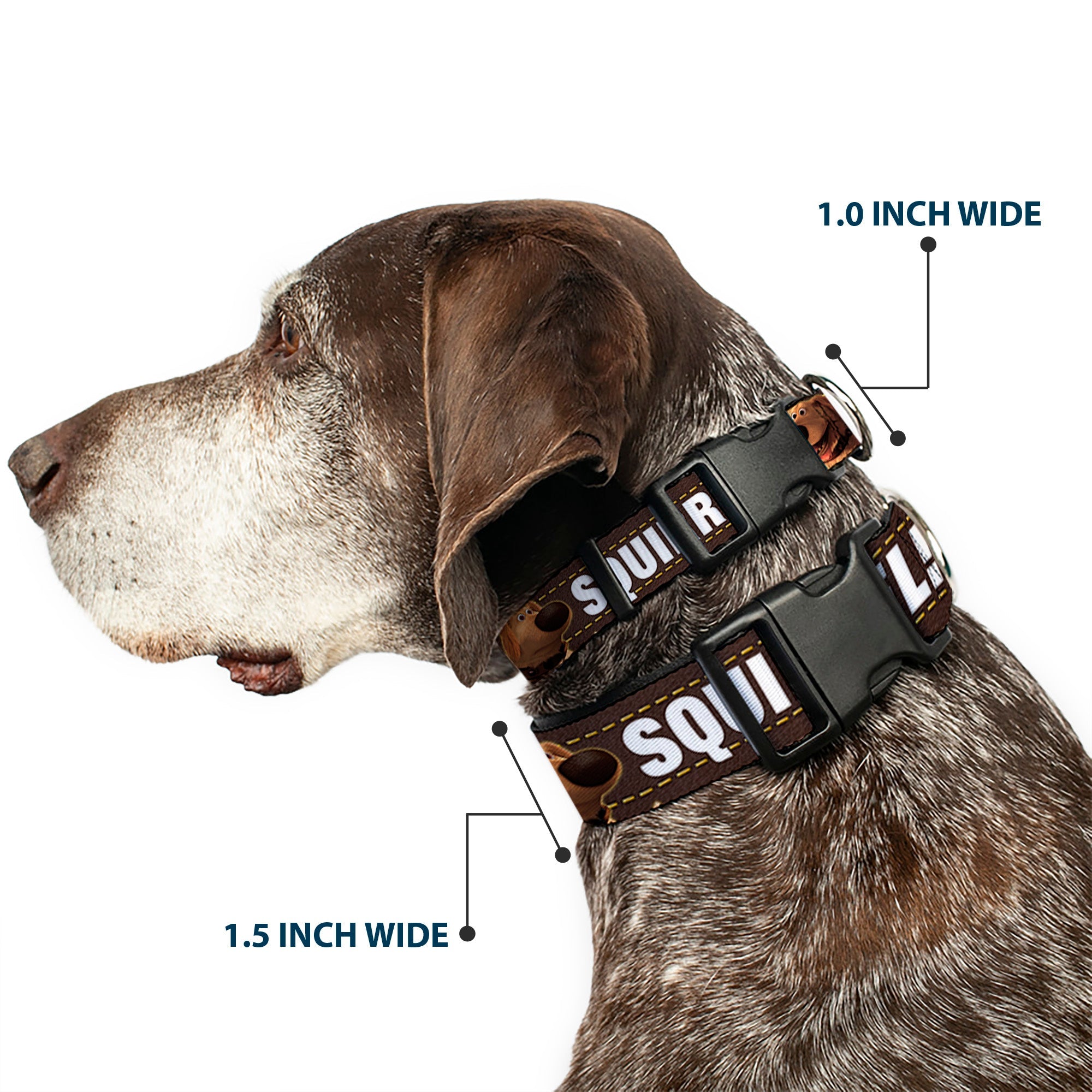 Plastic Clip Collar - Dug 3-Poses/SQUIRREL! Brown/Yellow/White