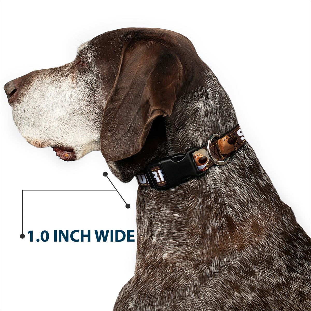 Plastic Clip Collar - Dug 3-Poses/SQUIRREL! Brown/Yellow/White