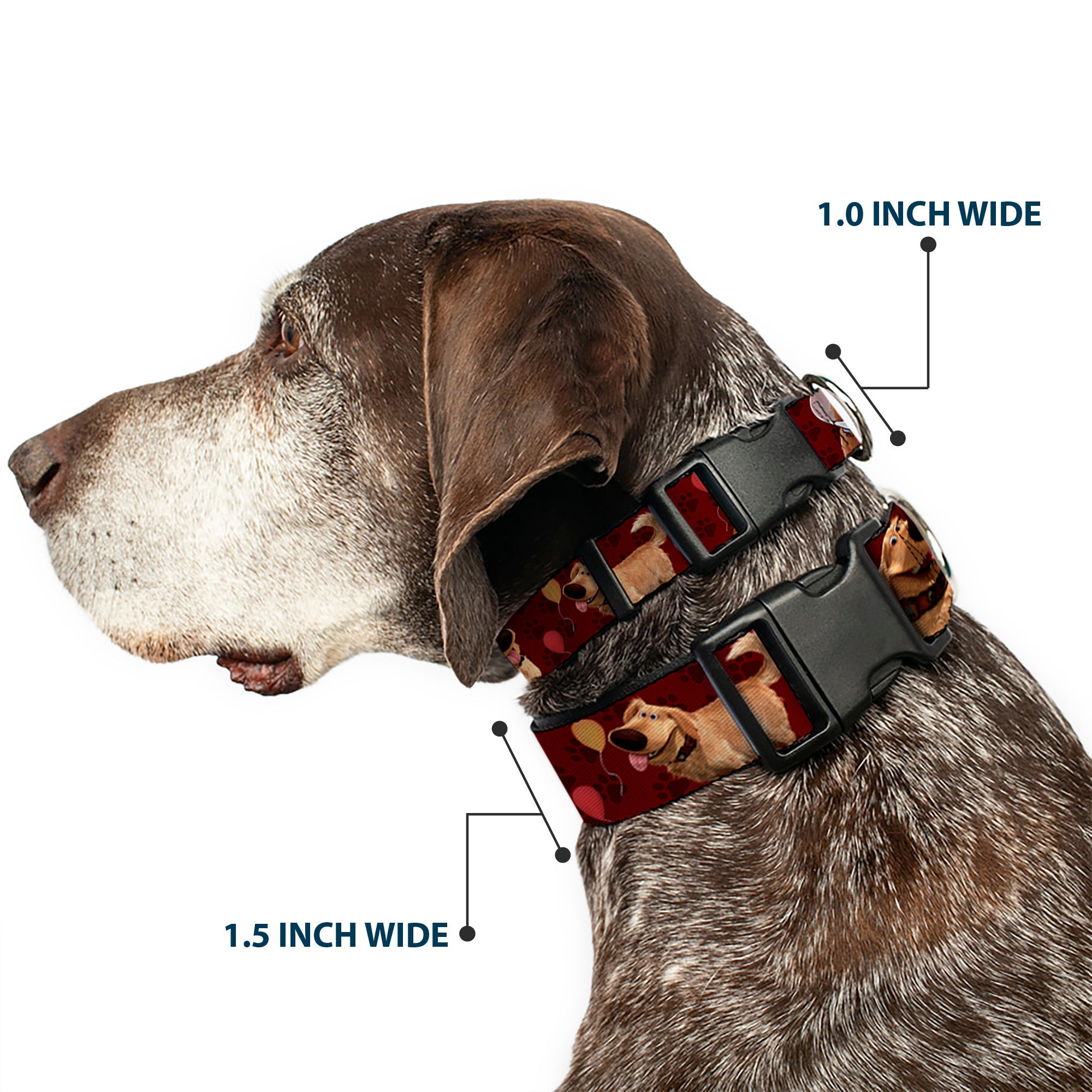 Plastic Clip Collar - Dug 4-Poses/Balloons/Paw Print Reds