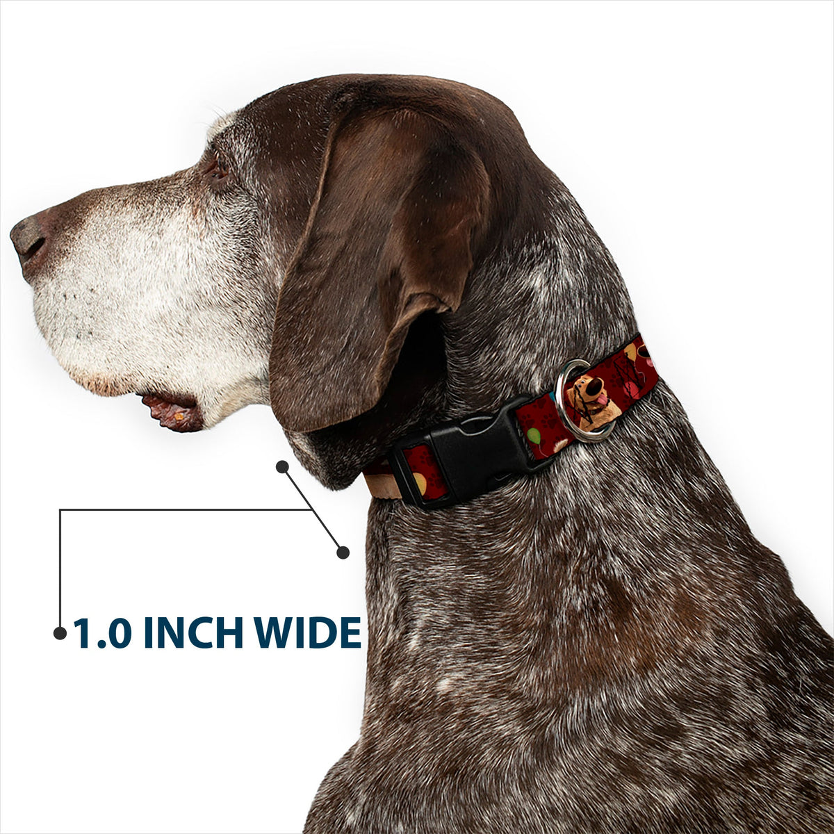 Plastic Clip Collar - Dug 4-Poses/Balloons/Paw Print Reds