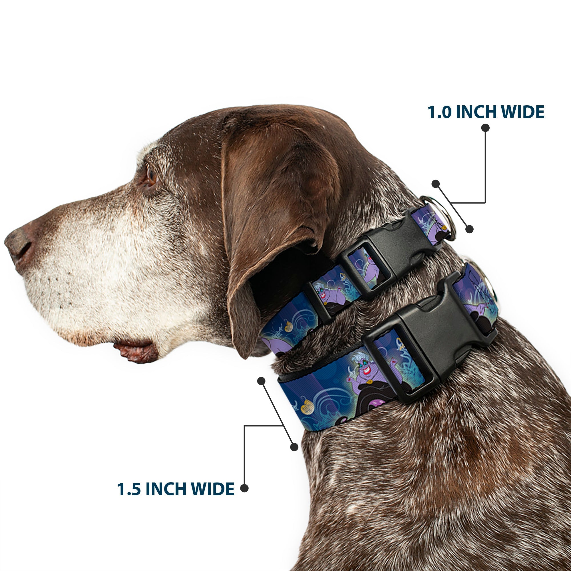Plastic Clip Collar - Ursula 4-Poses/Shells/Ivy/Bubbles Purples/Blues