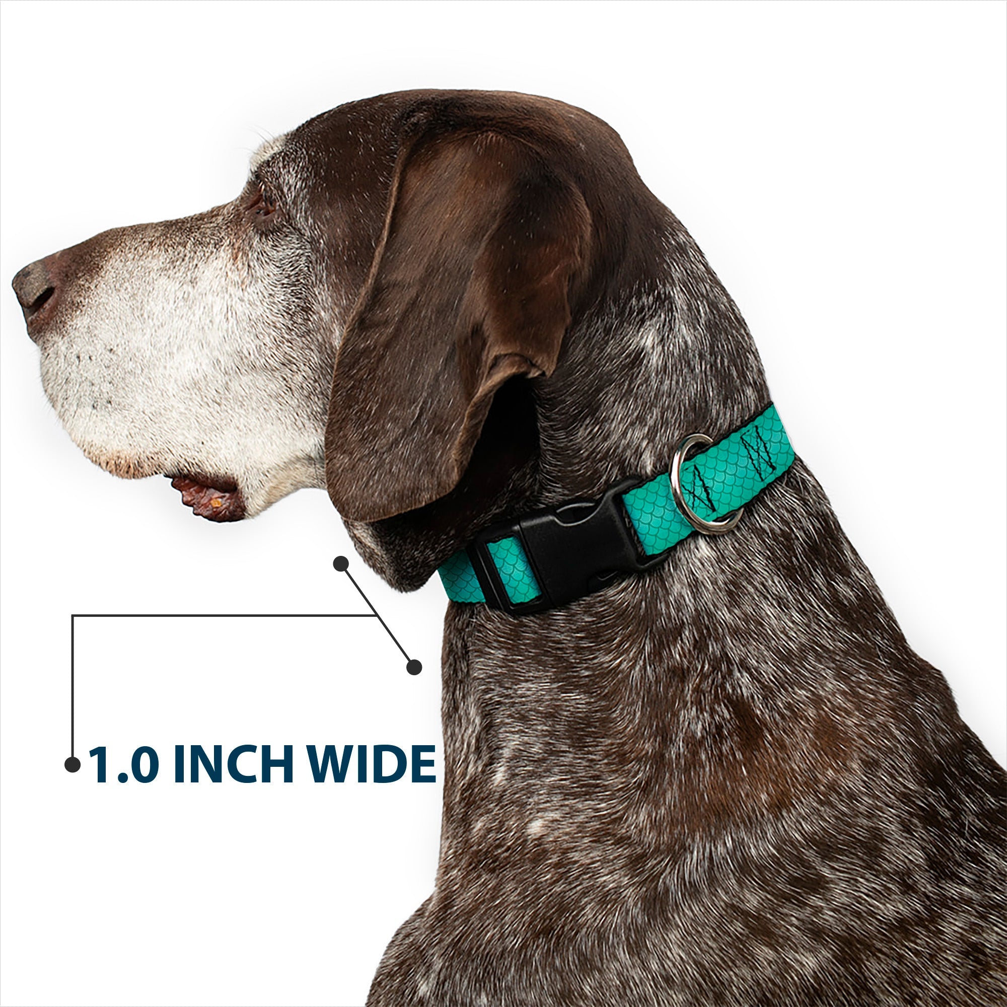 Plastic Clip Collar - Ariels Scales Turquoise Blues